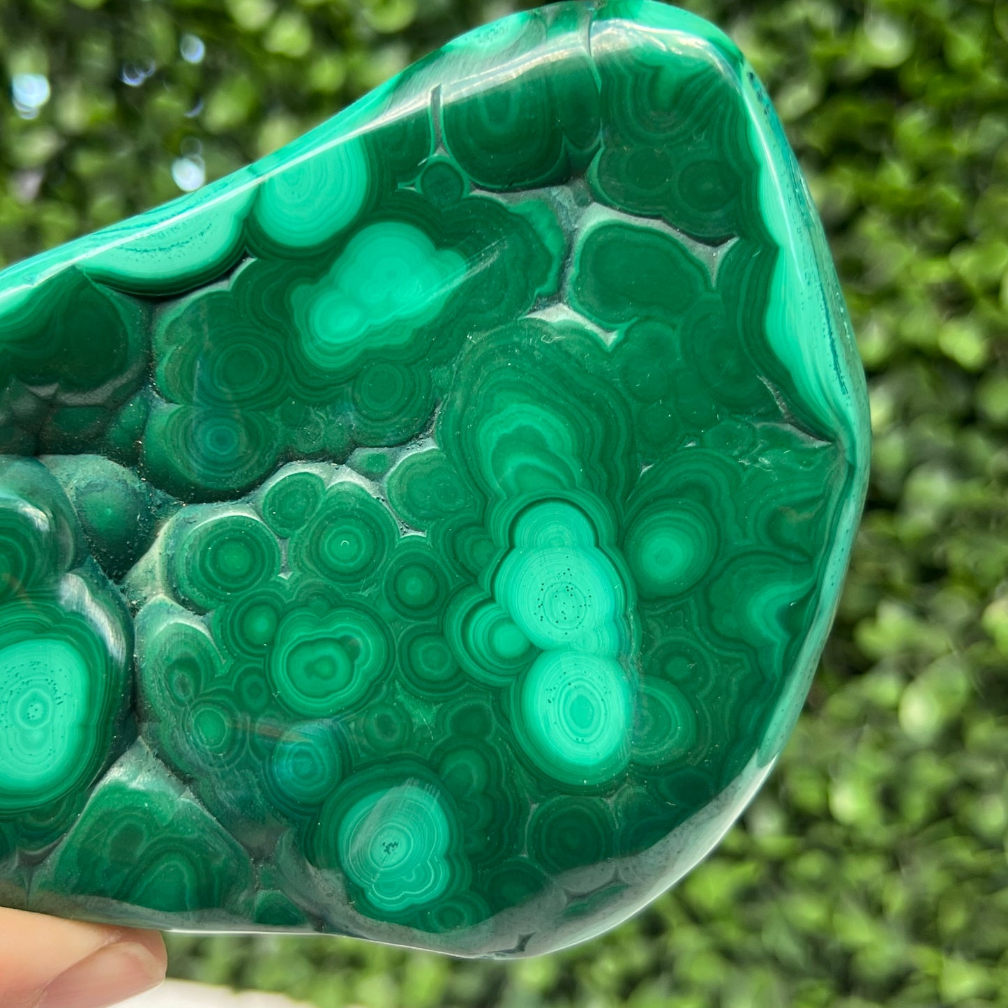 Malachite Free Form