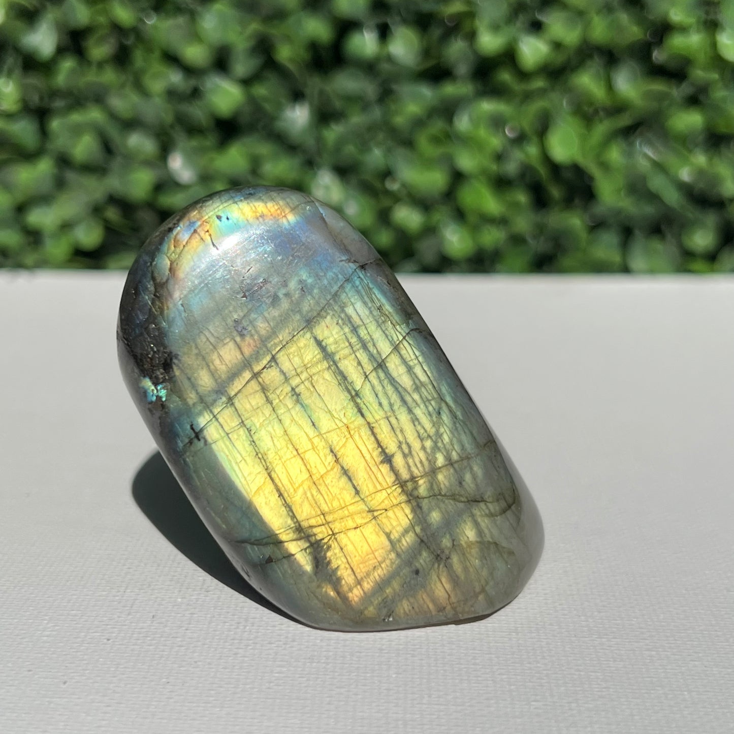 Labradorite Free Form