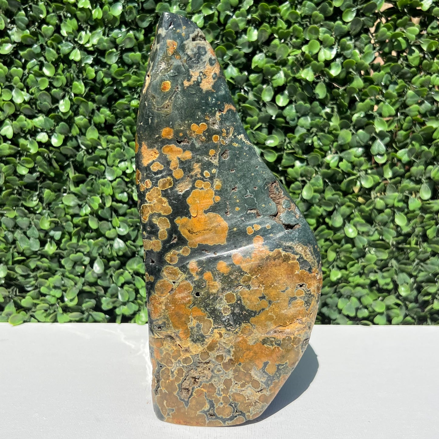 Ocean Jasper Free Form