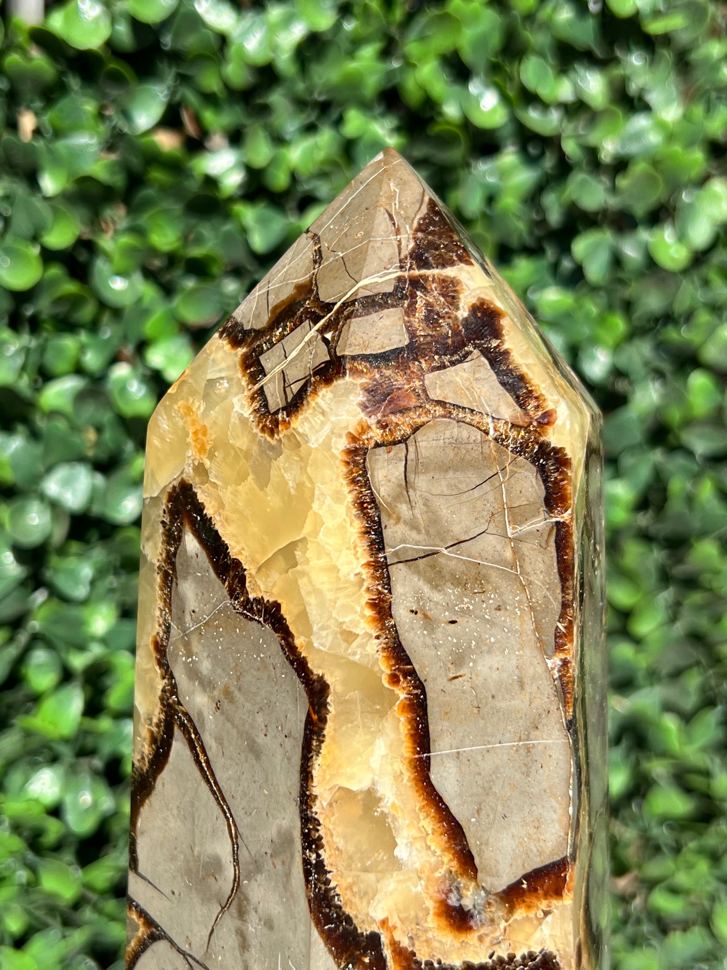 Septarian Generator XXL