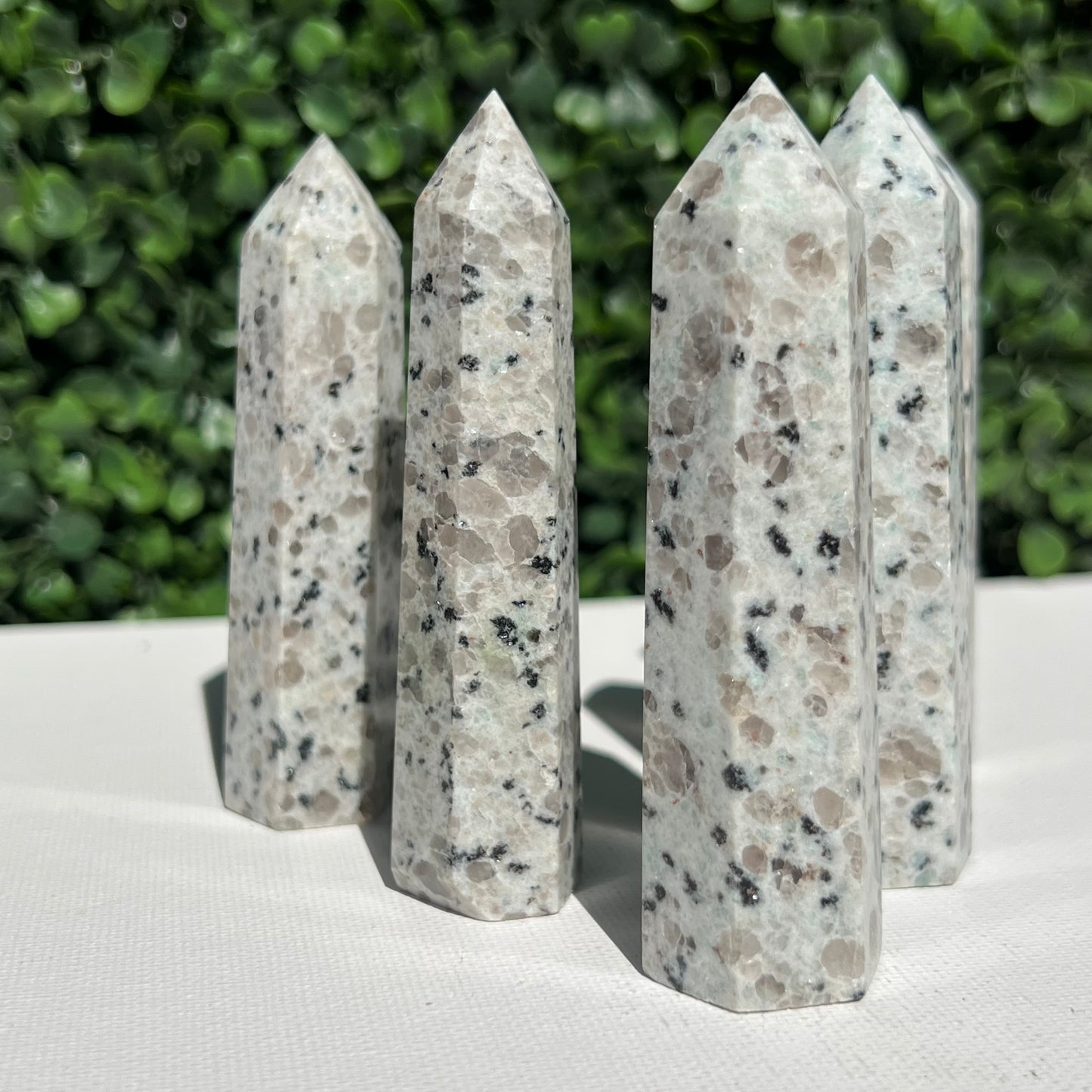 Kiwi Jasper Point’s