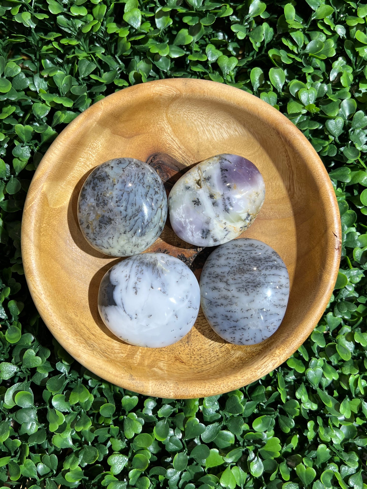 Dendritic Agate Gemstone Palm Stone’s