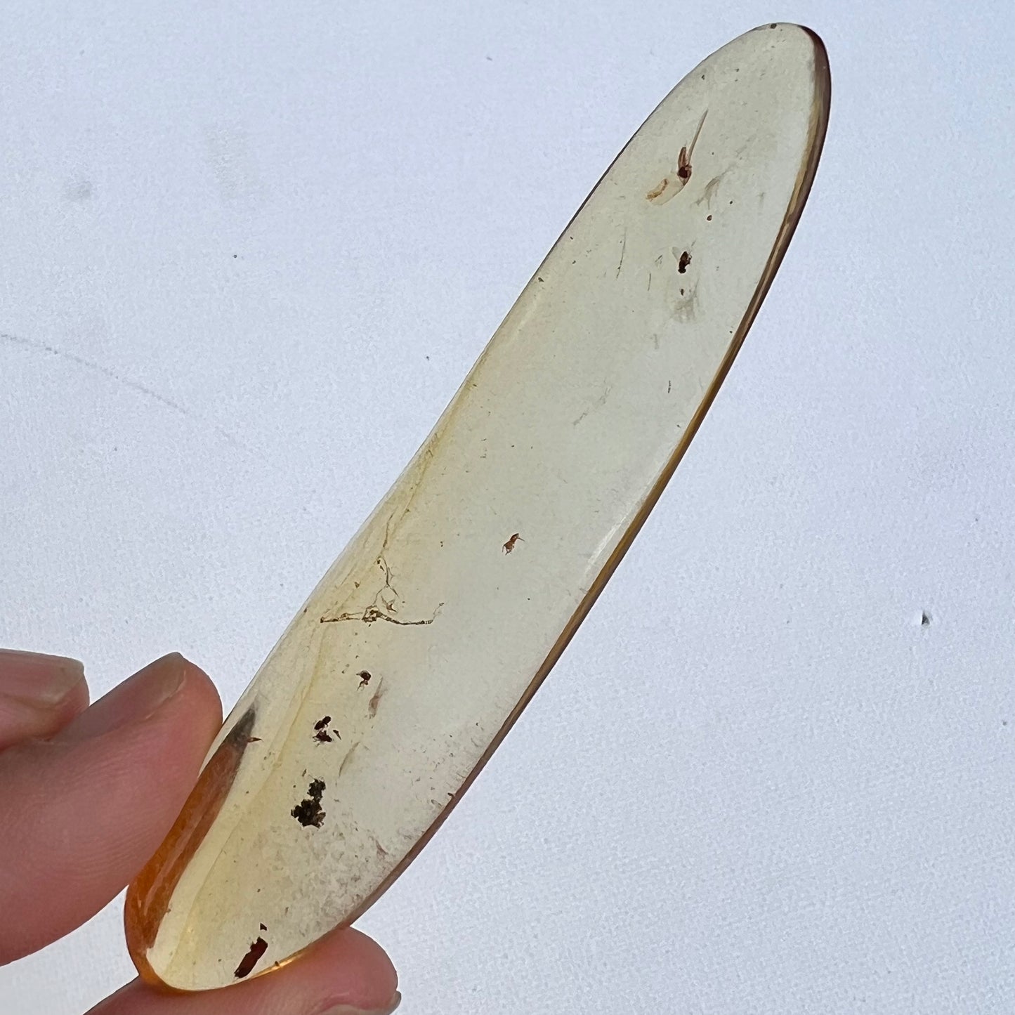 COPAL AMBER RARE SPECIMEN