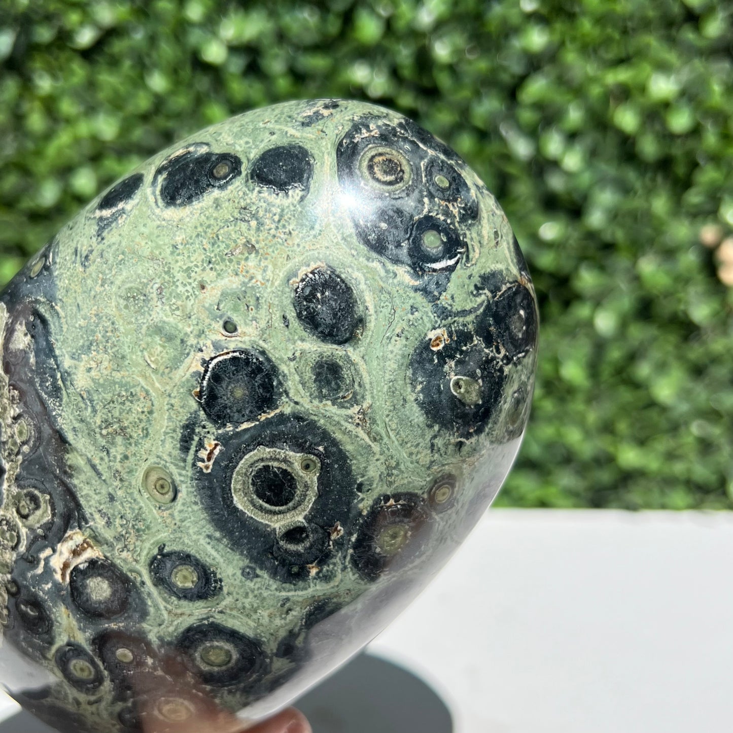 Kambaba Jasper Free Form