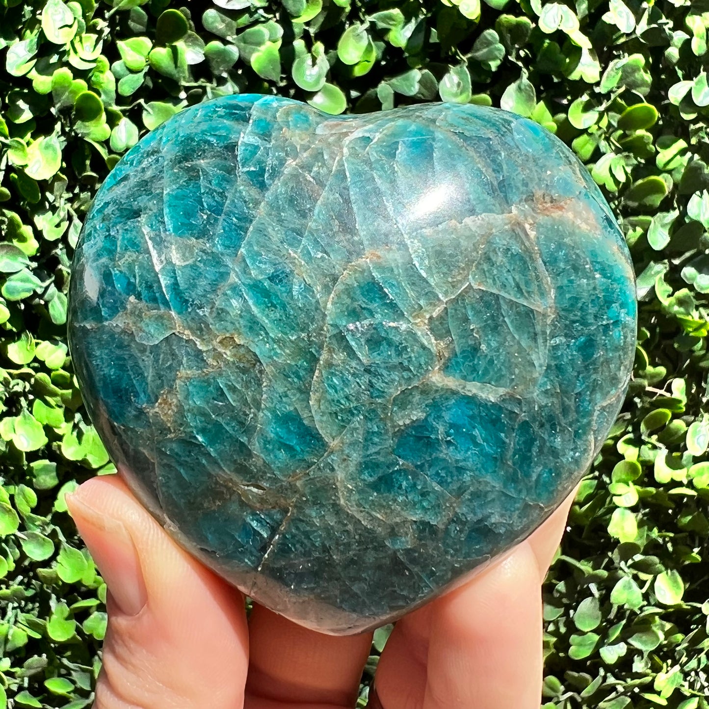 Blue Apatite Crystal Heart