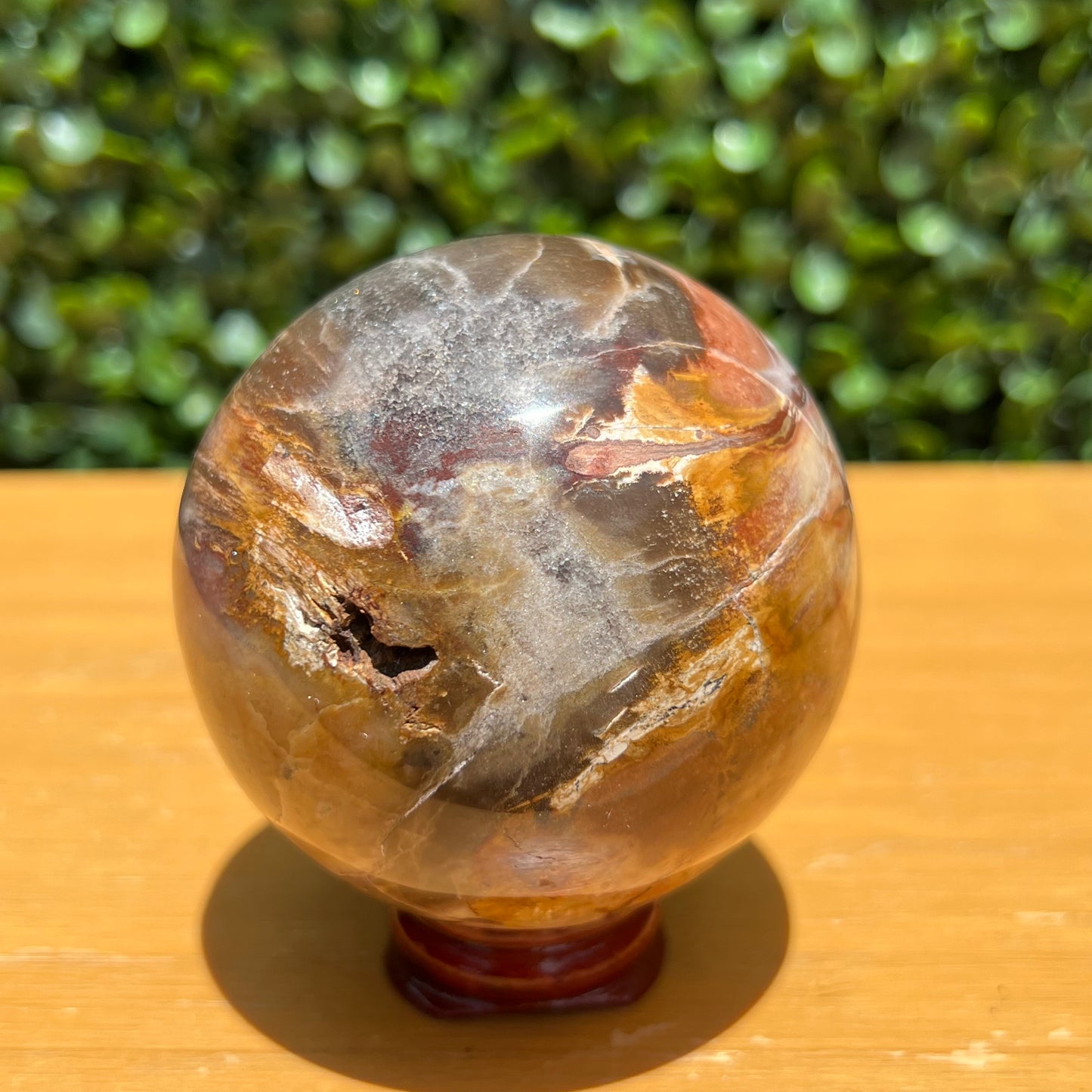 Petrified Wood Sphere