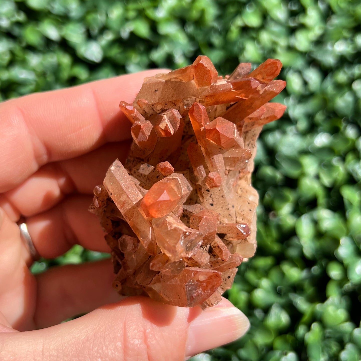 Red Quartz Cluster