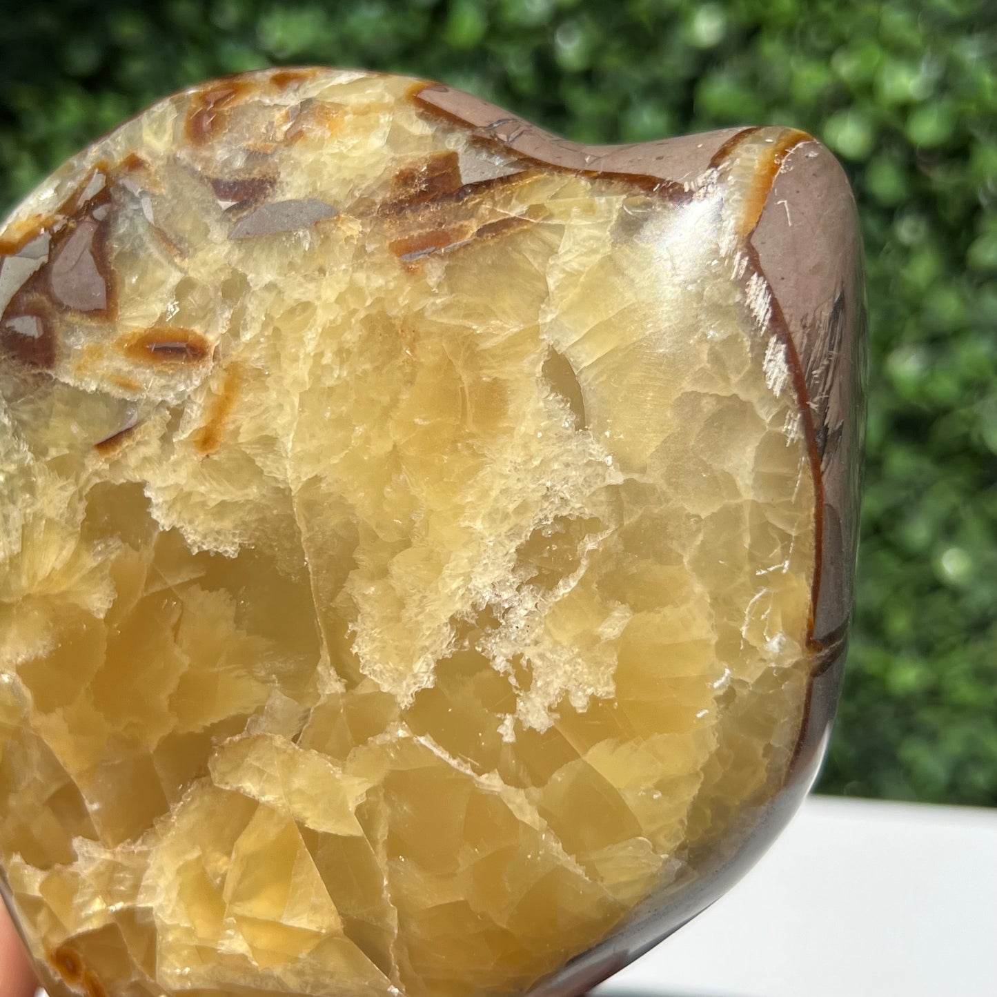 Septarian Yellow Calcite Free Form