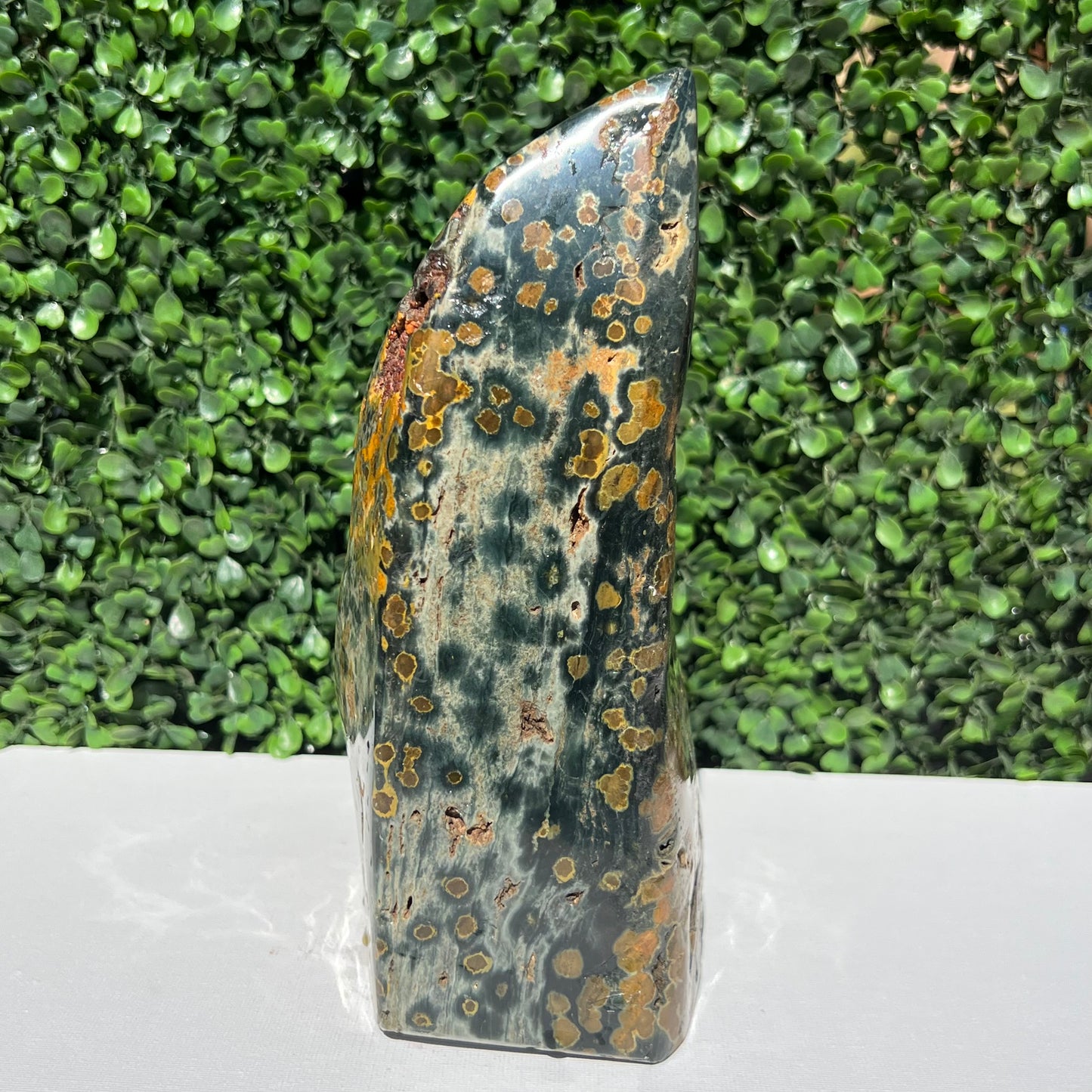 Ocean Jasper Free Form
