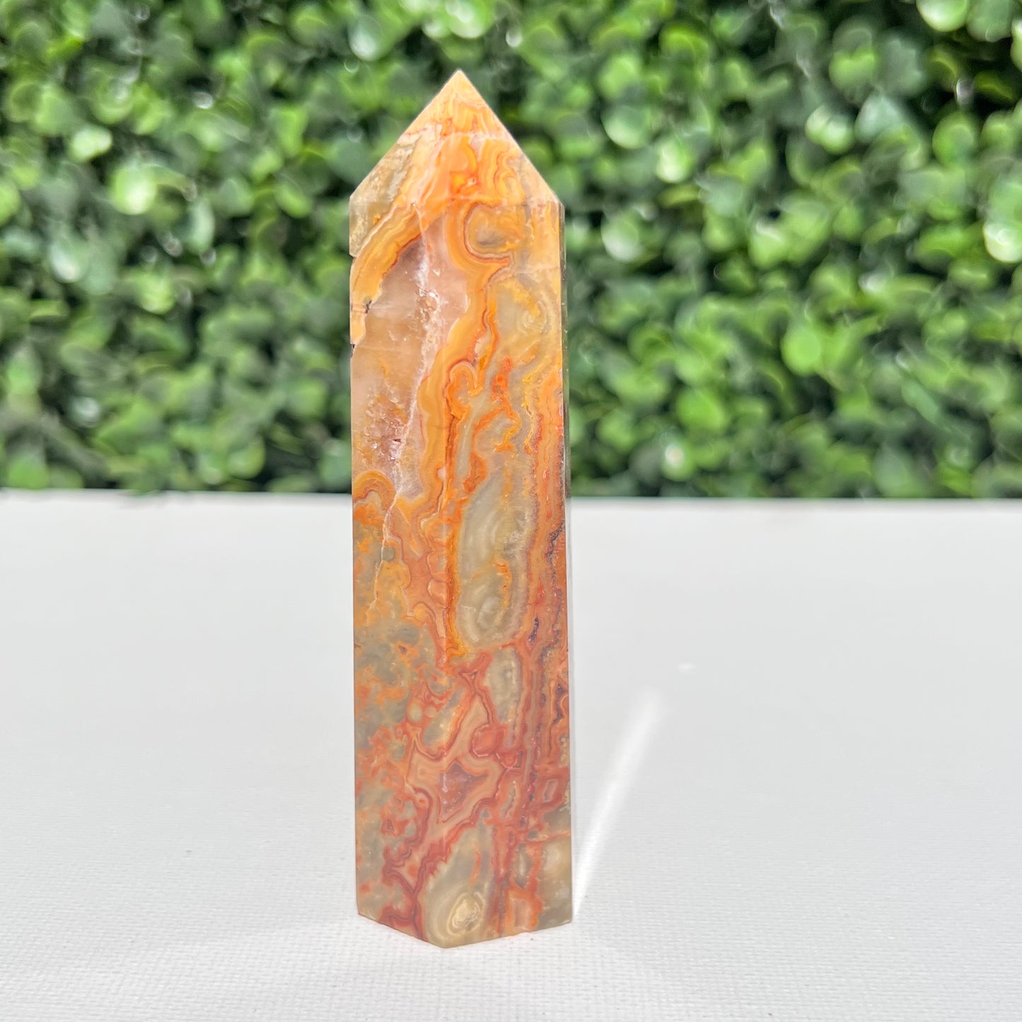 Crazy Lace Agate Point