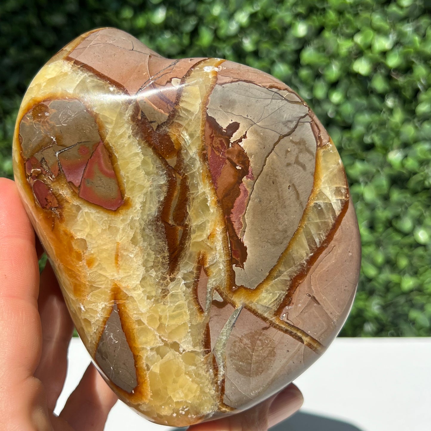 Septarian Yellow Calcite Free Form