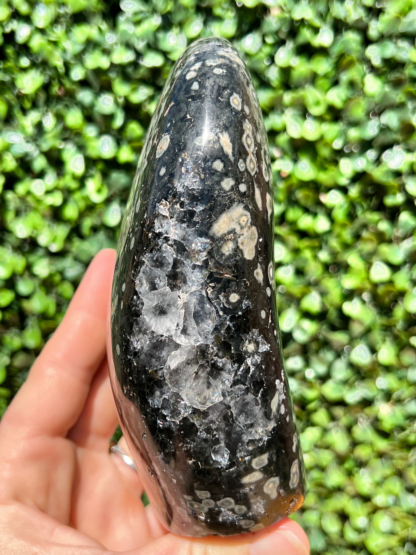 Ocean Jasper Free Form
