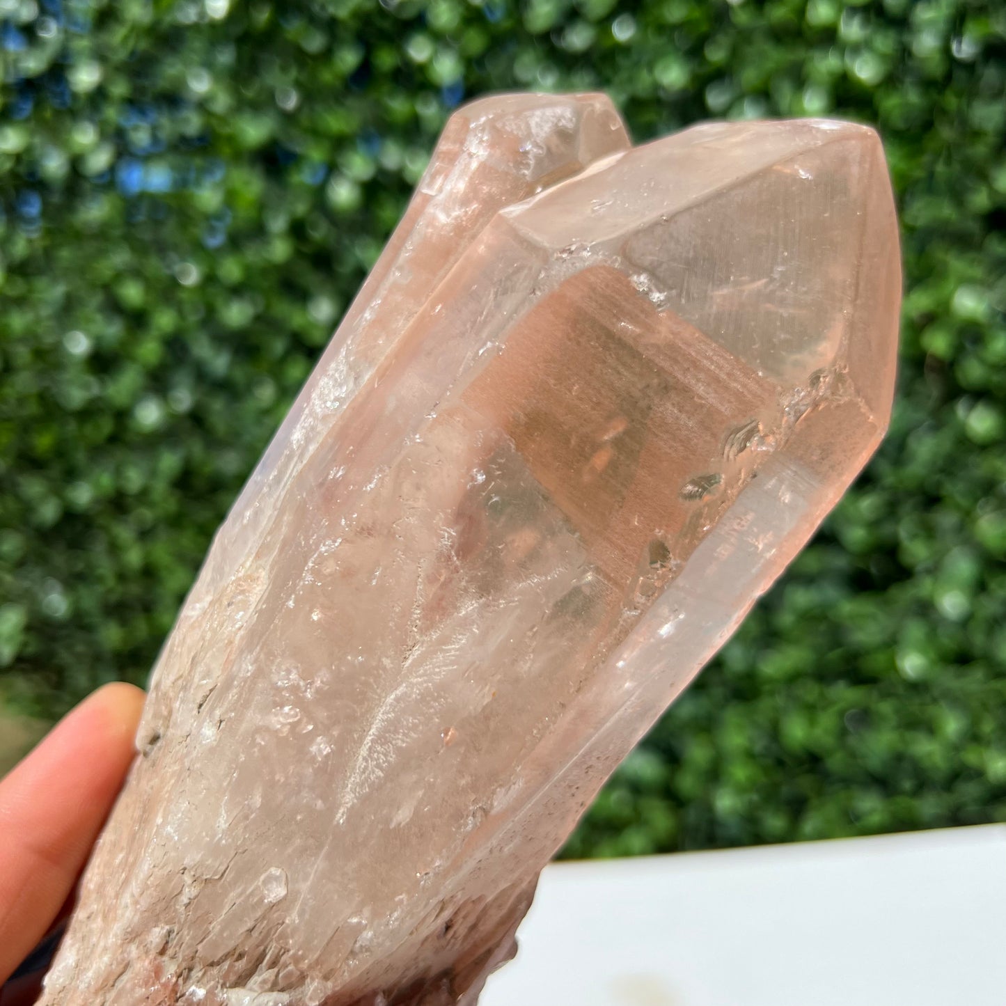 Lemurian Seed Crystal