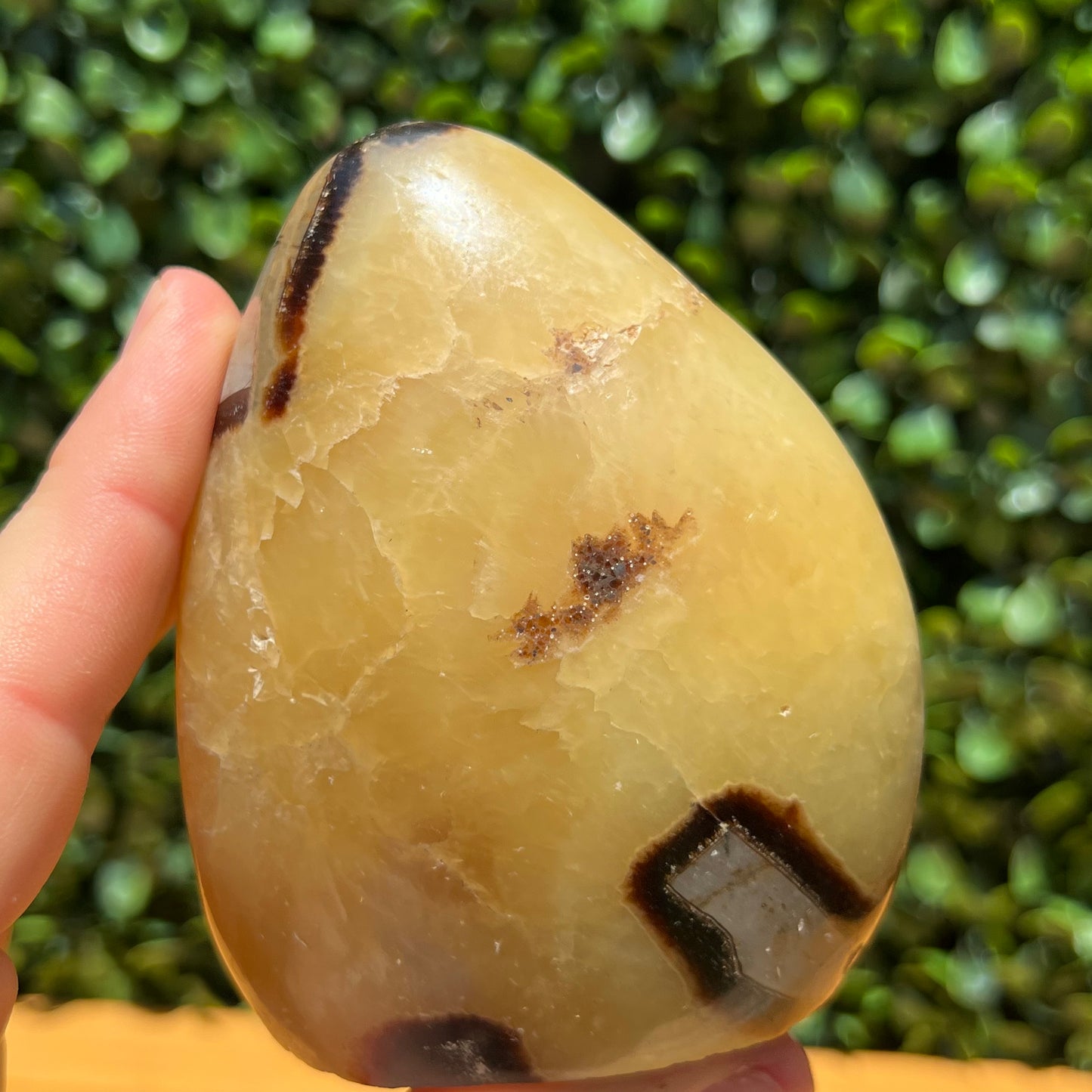 Septarian Yellow Calcite Free Form