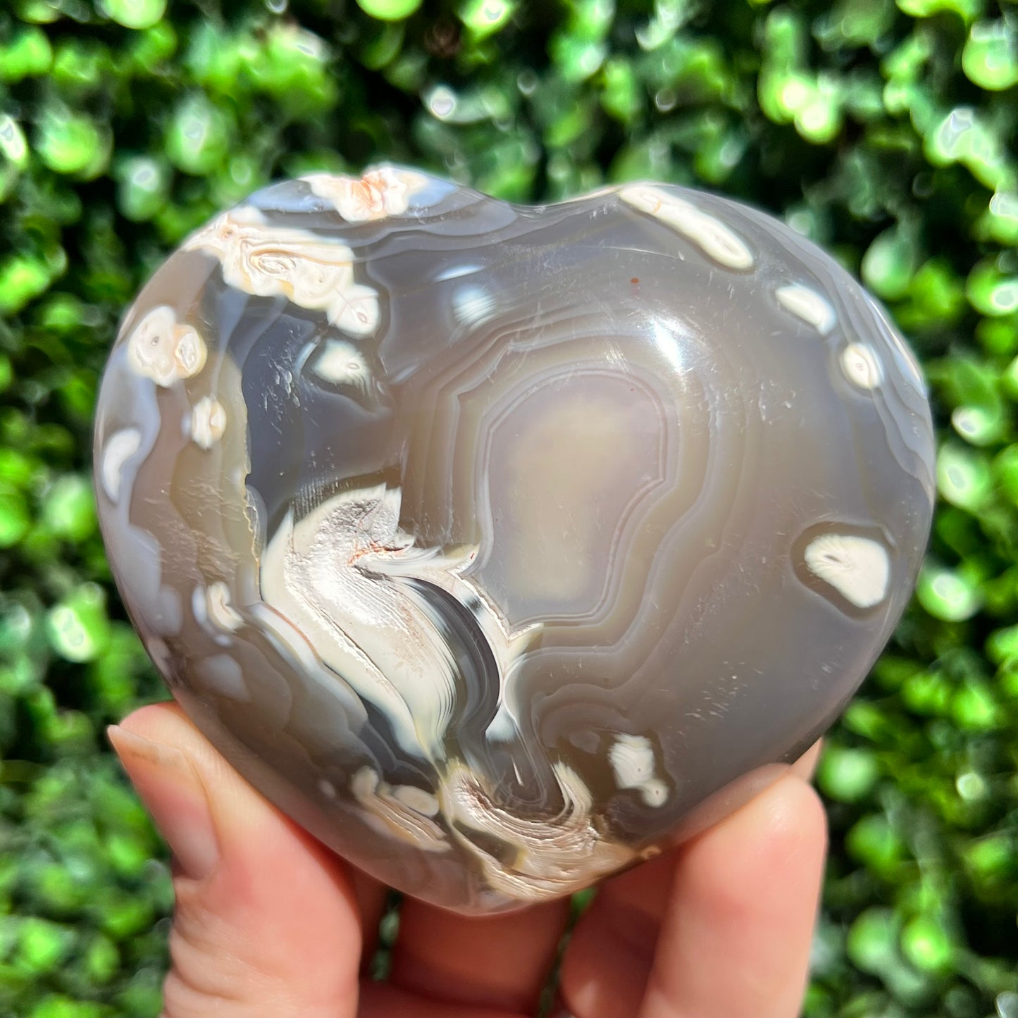 Orca Agate Heart