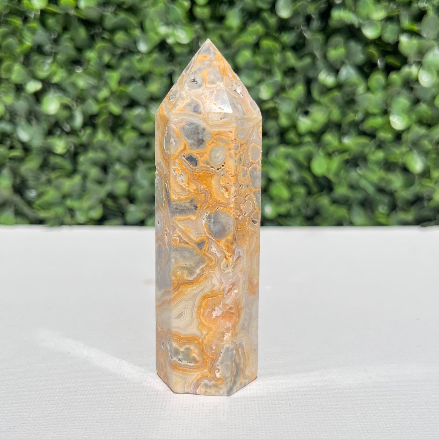 Crazy Lace Agate Point
