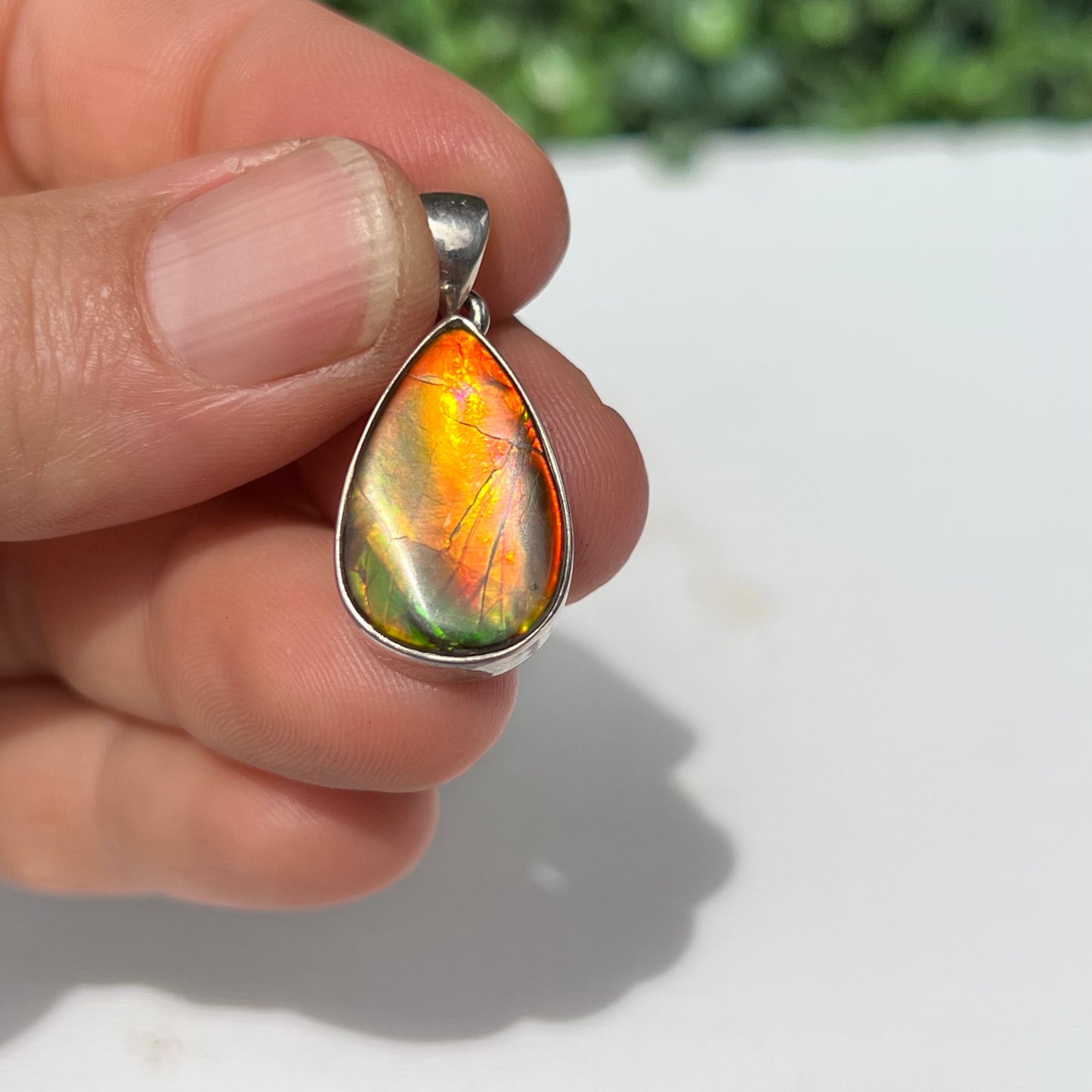 Ammonite 925 Silver Pendant