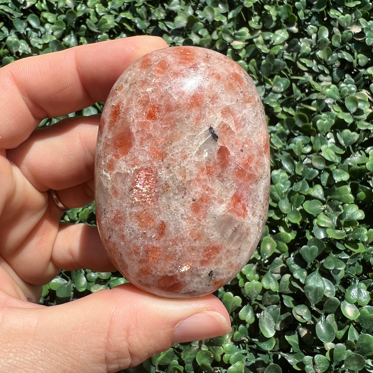 Sunstone Palm Stone