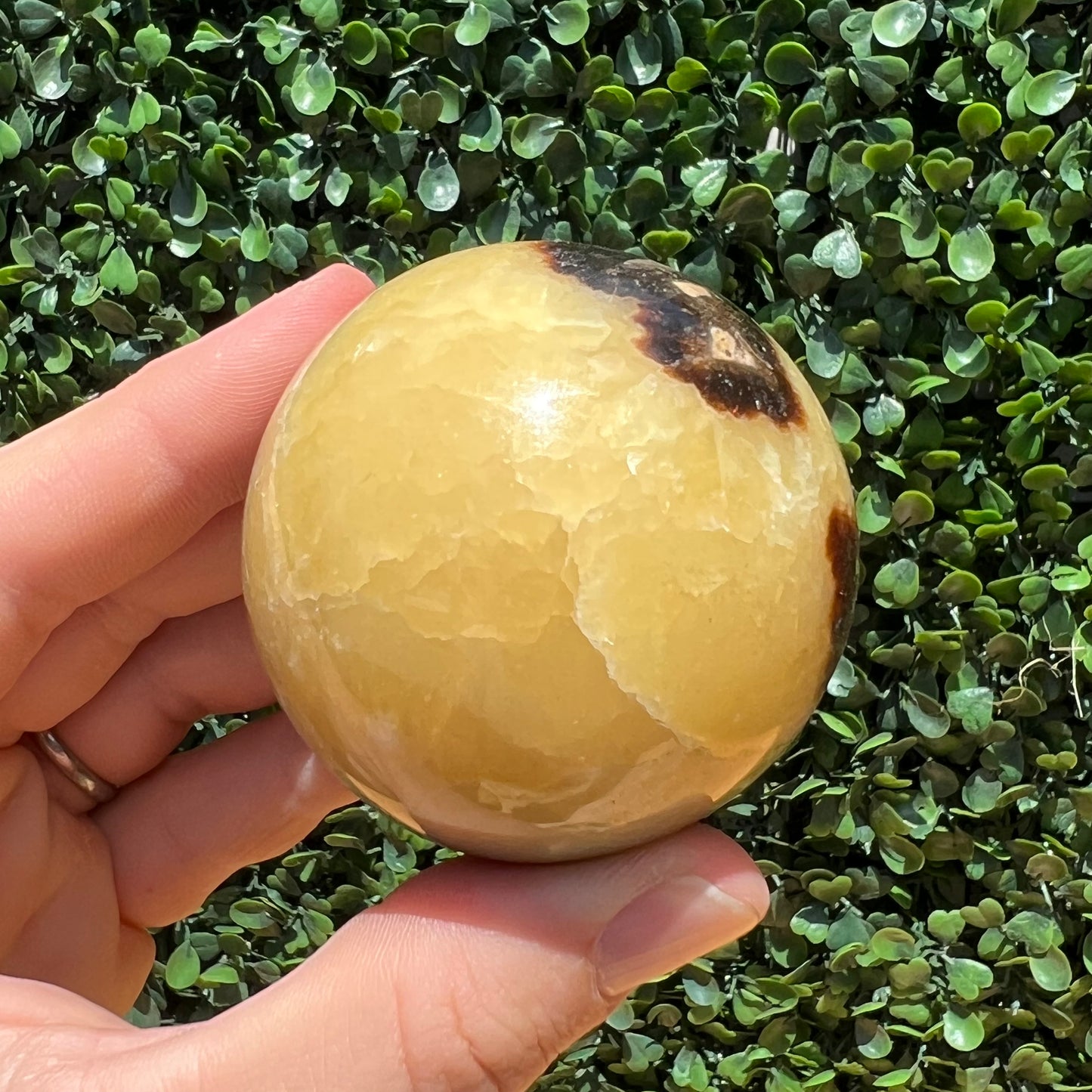 Septarian Yellow Calcite Sphere’s
