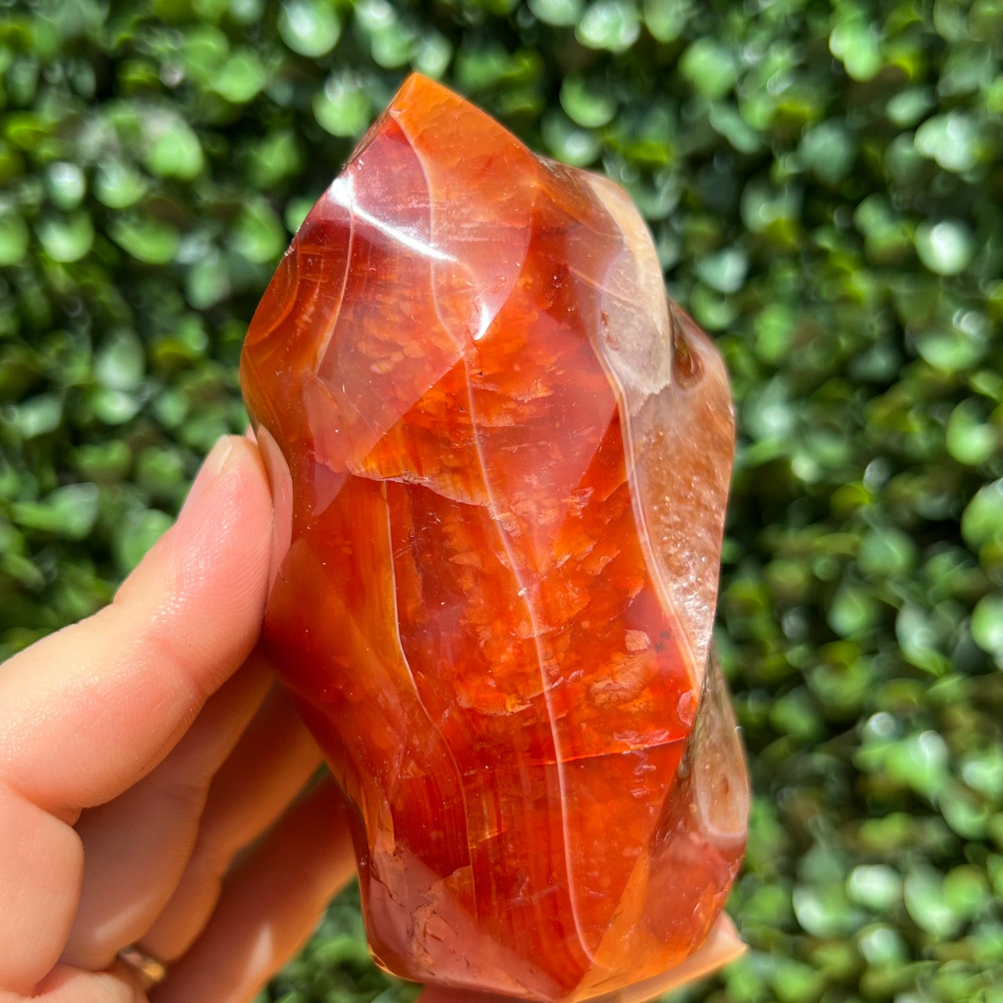 Carnelian Flame
