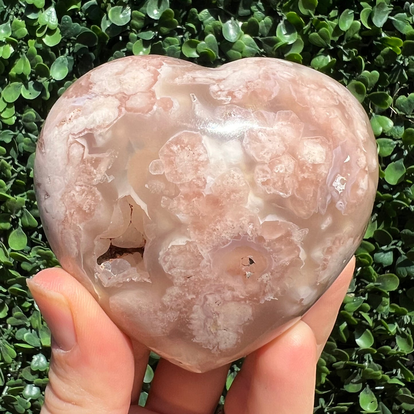 Flower Agate Heart