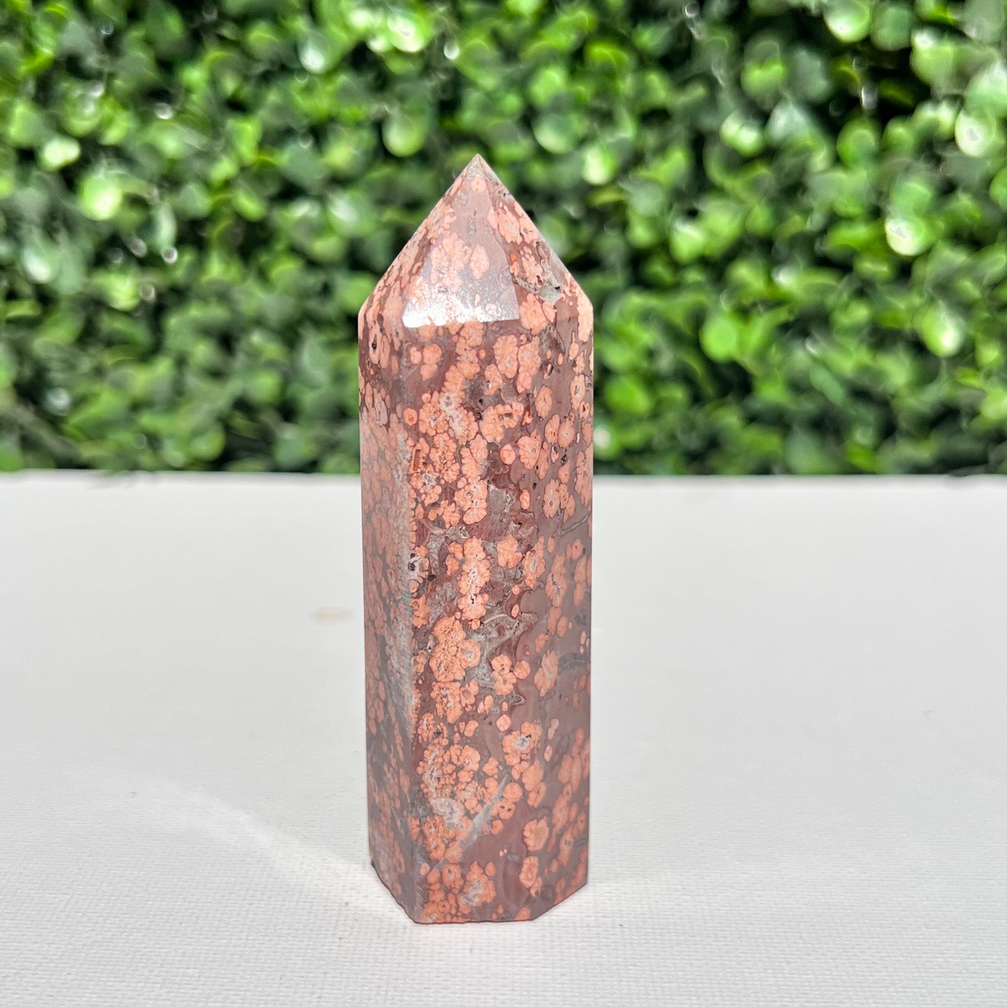Leopard Skin Point