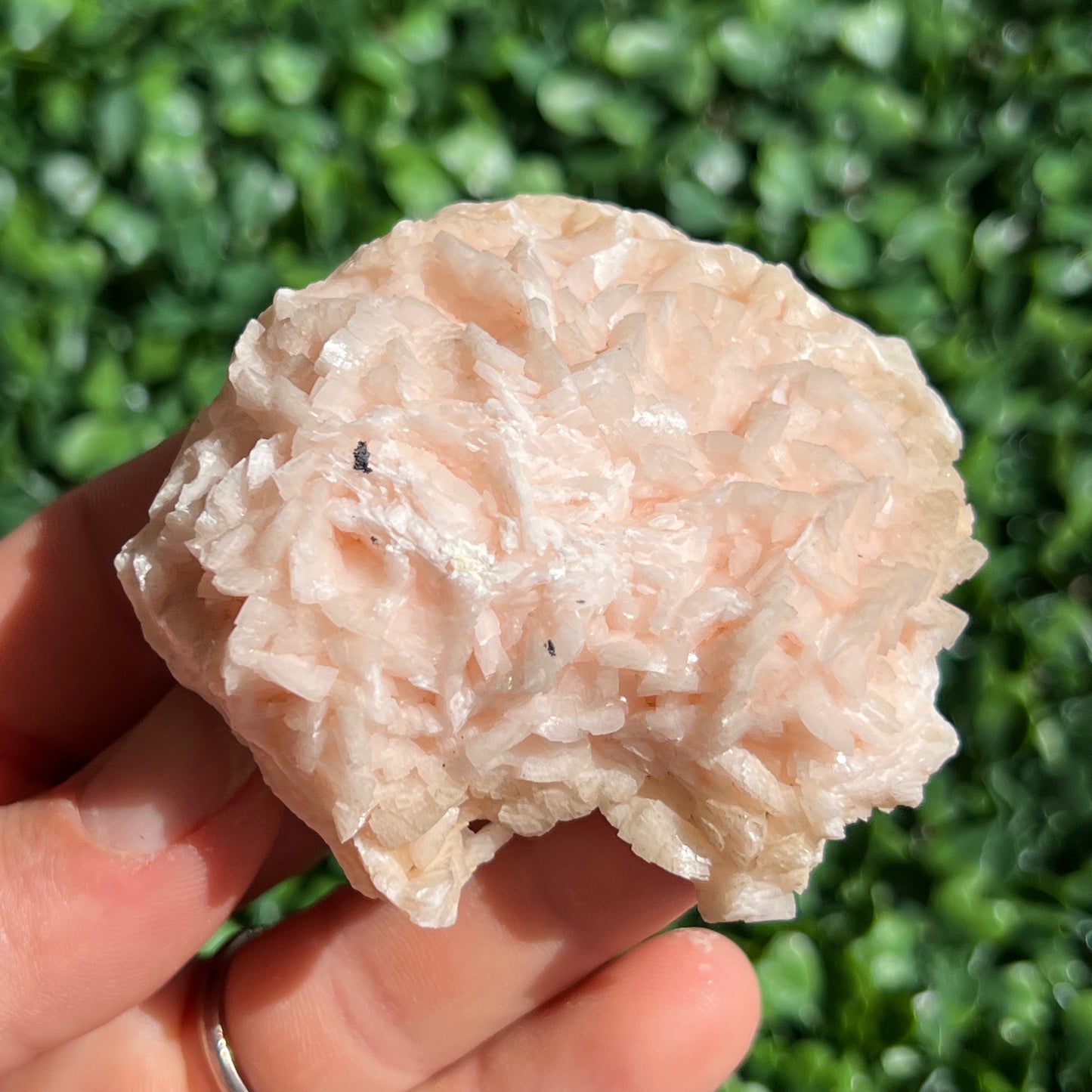 Pink Dolomite Specimen