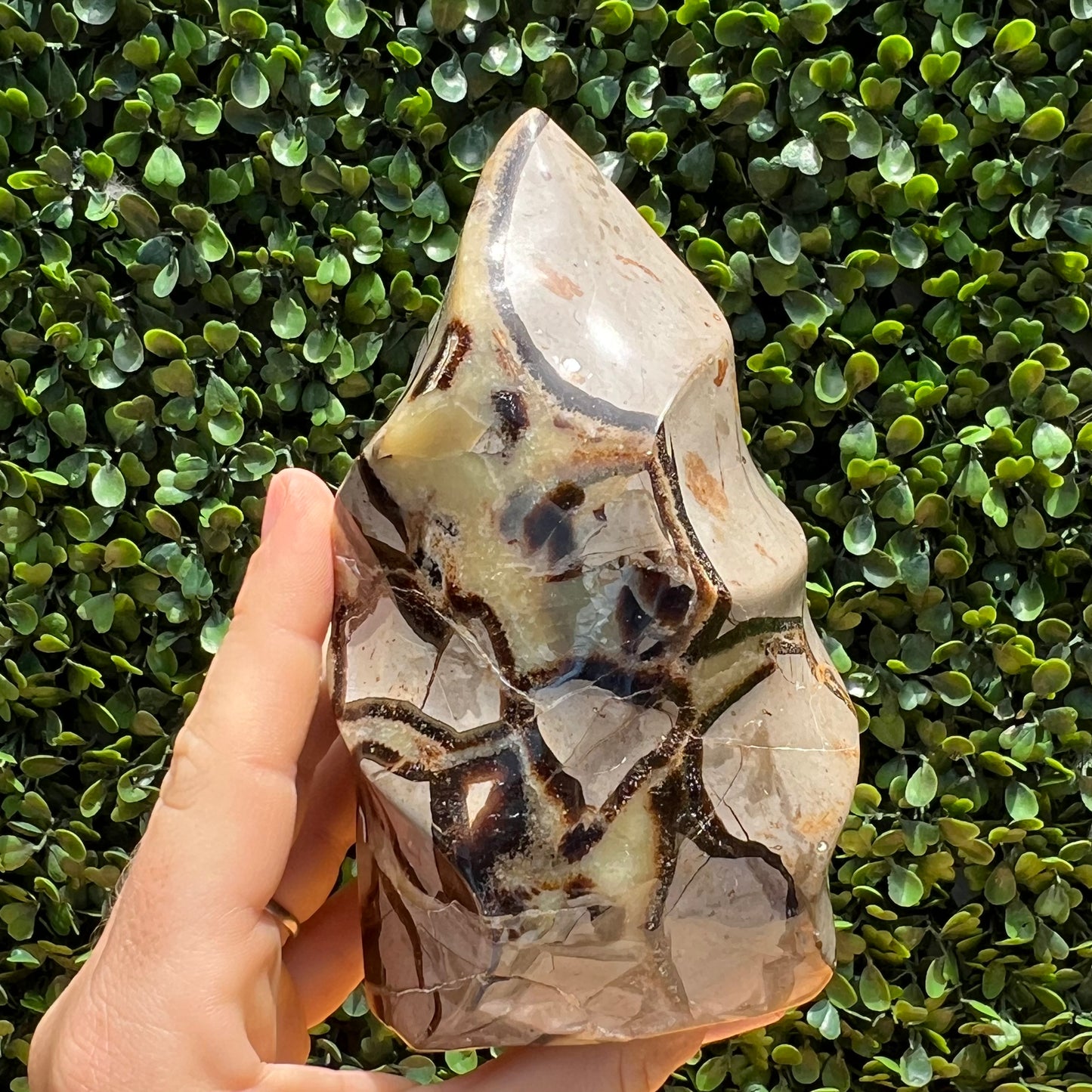 Septarian Yellow Calcite Flame