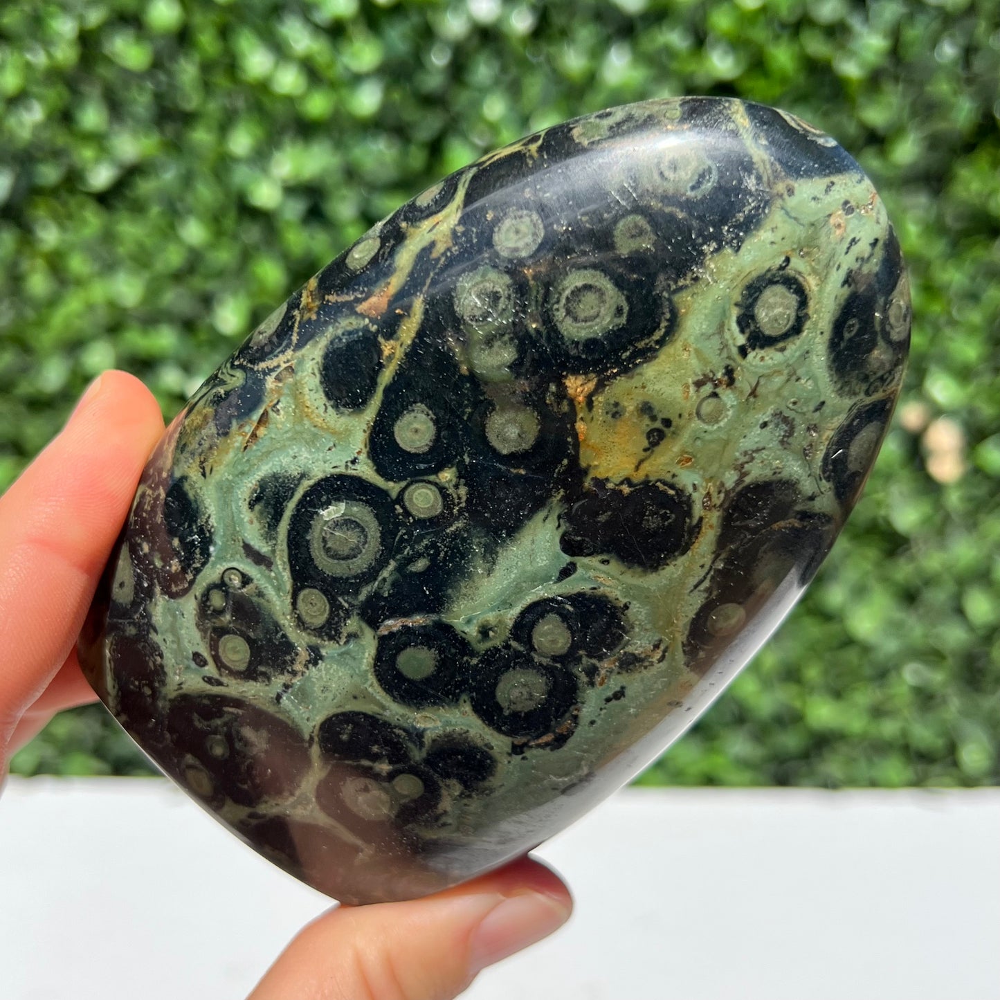 Kambaba Jasper Free Form