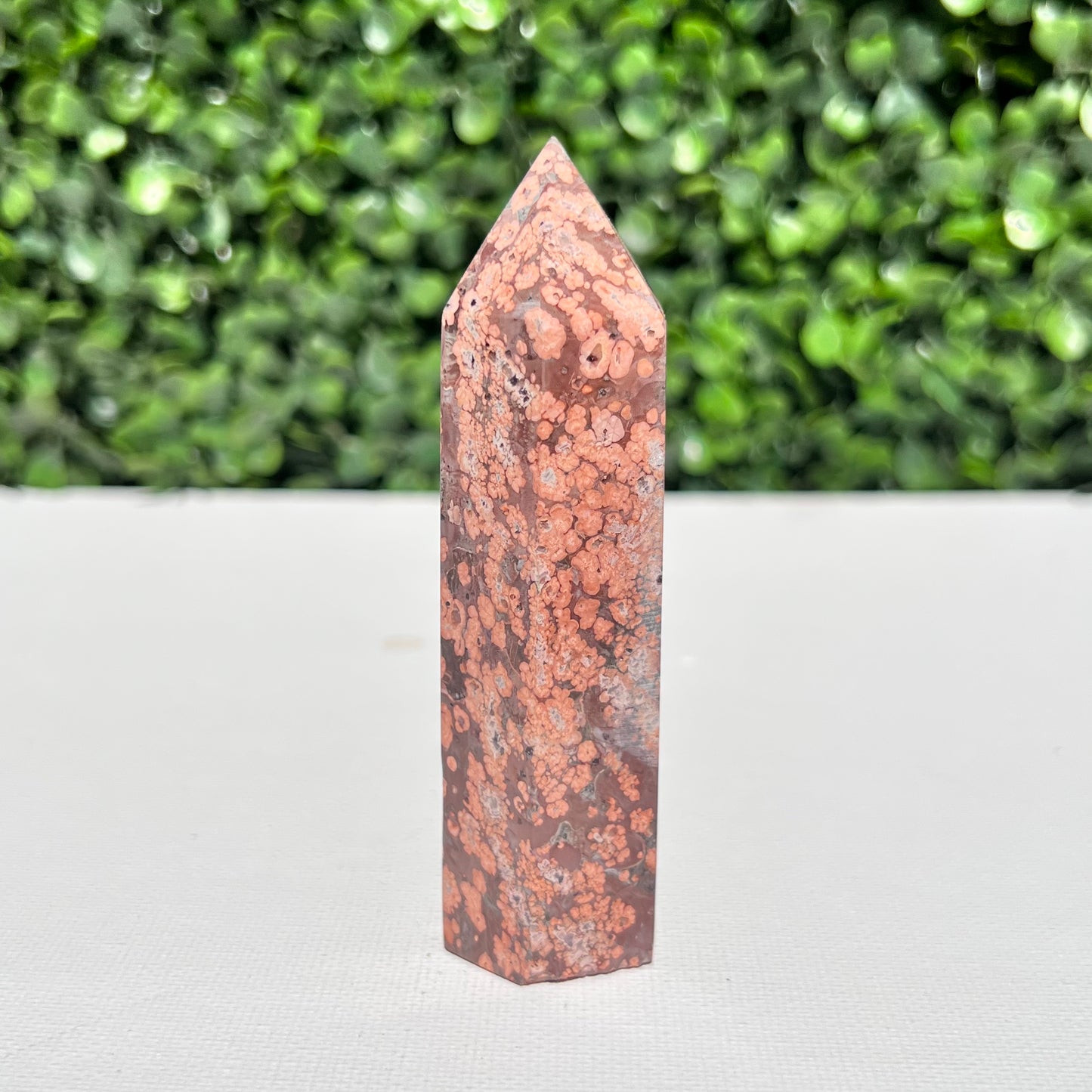 Leopard Skin Point