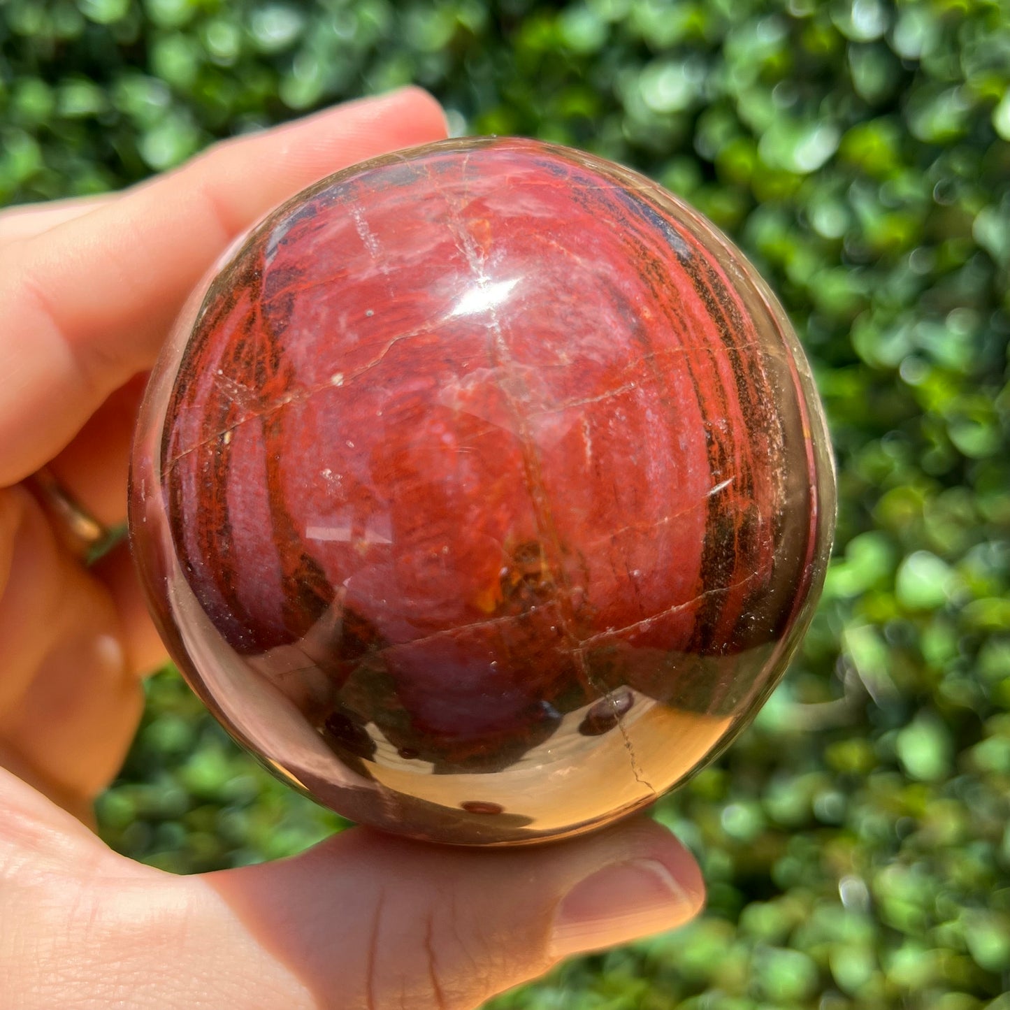 Petrified Wood Sphere