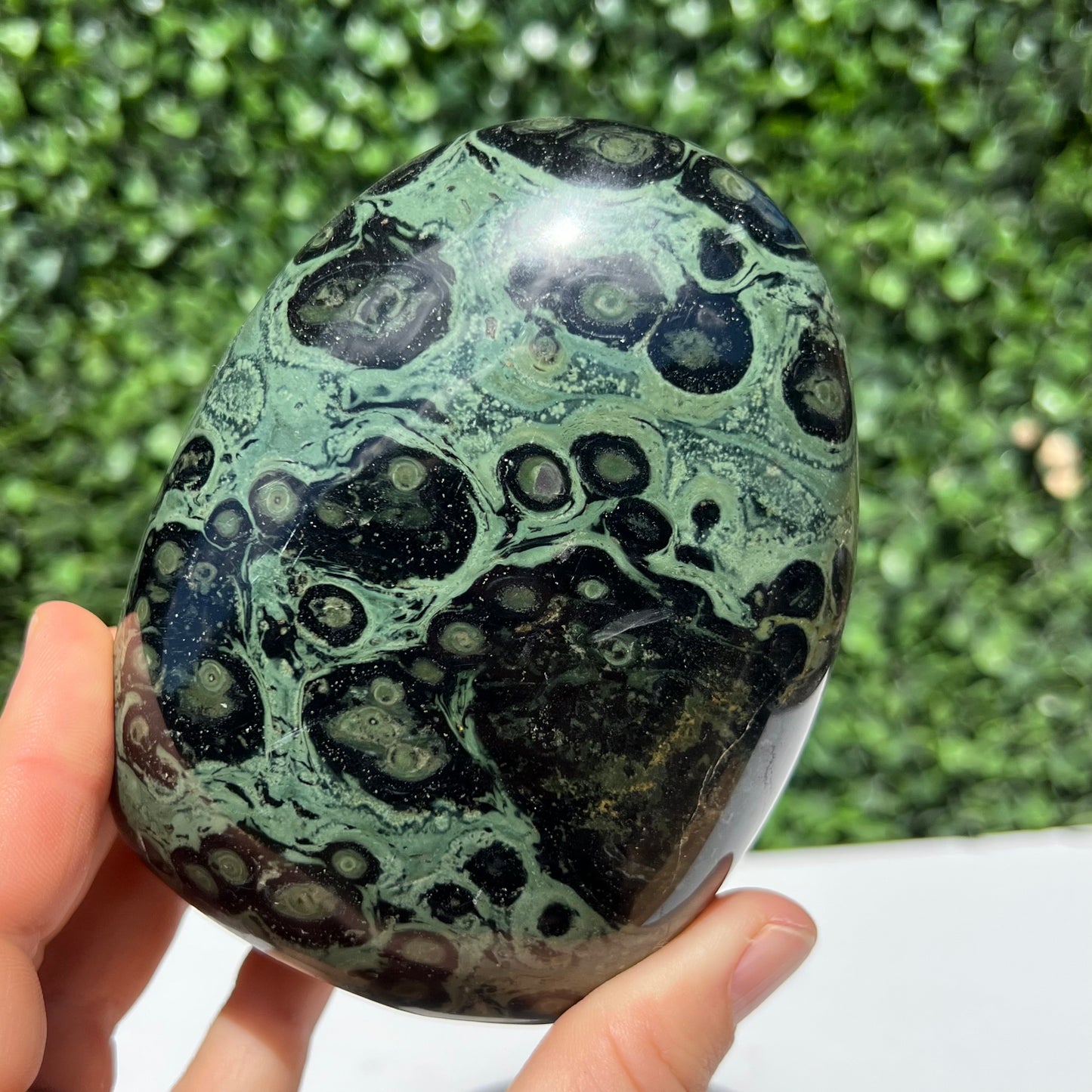 Kambaba Jasper Free Form