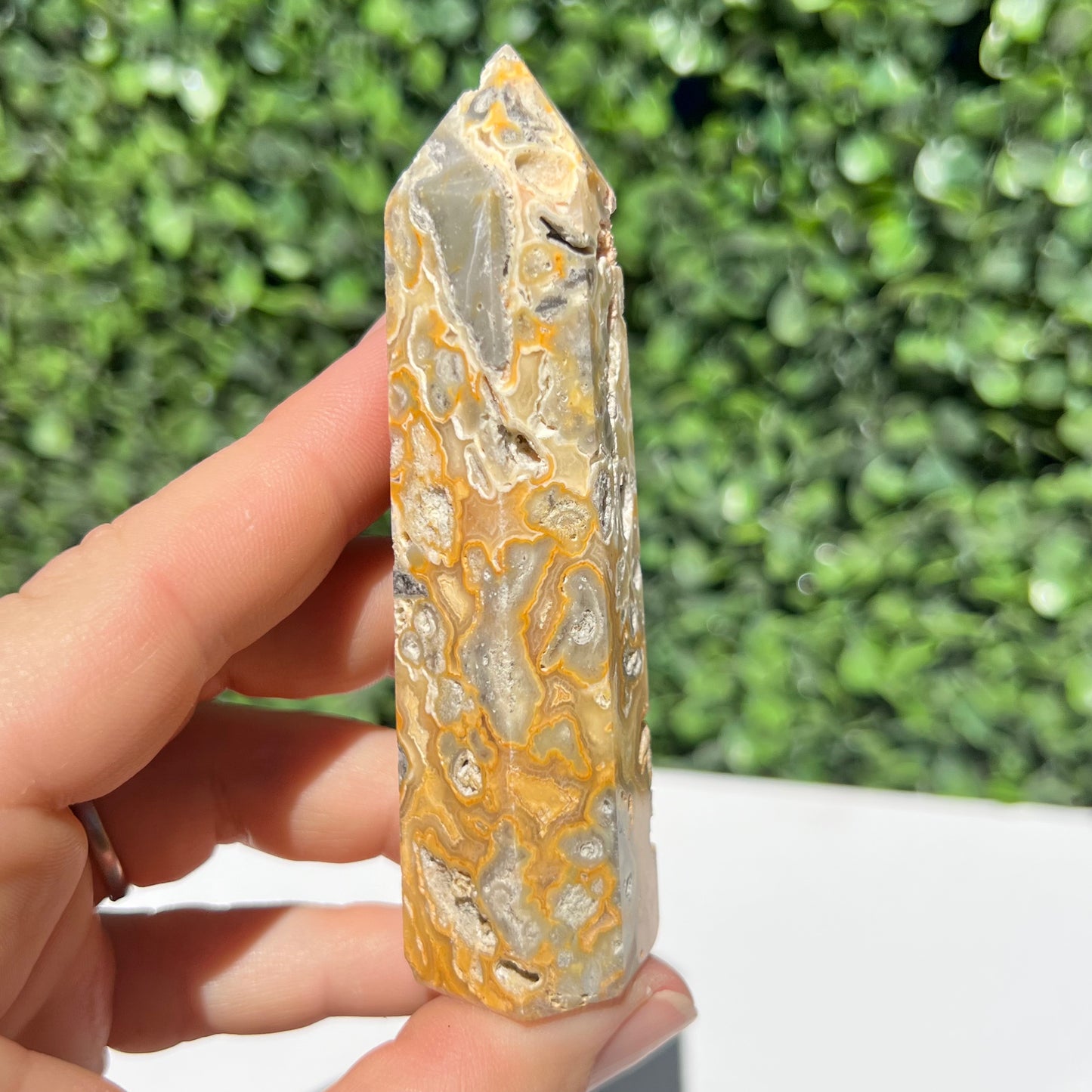 Crazy Lace Agate Point