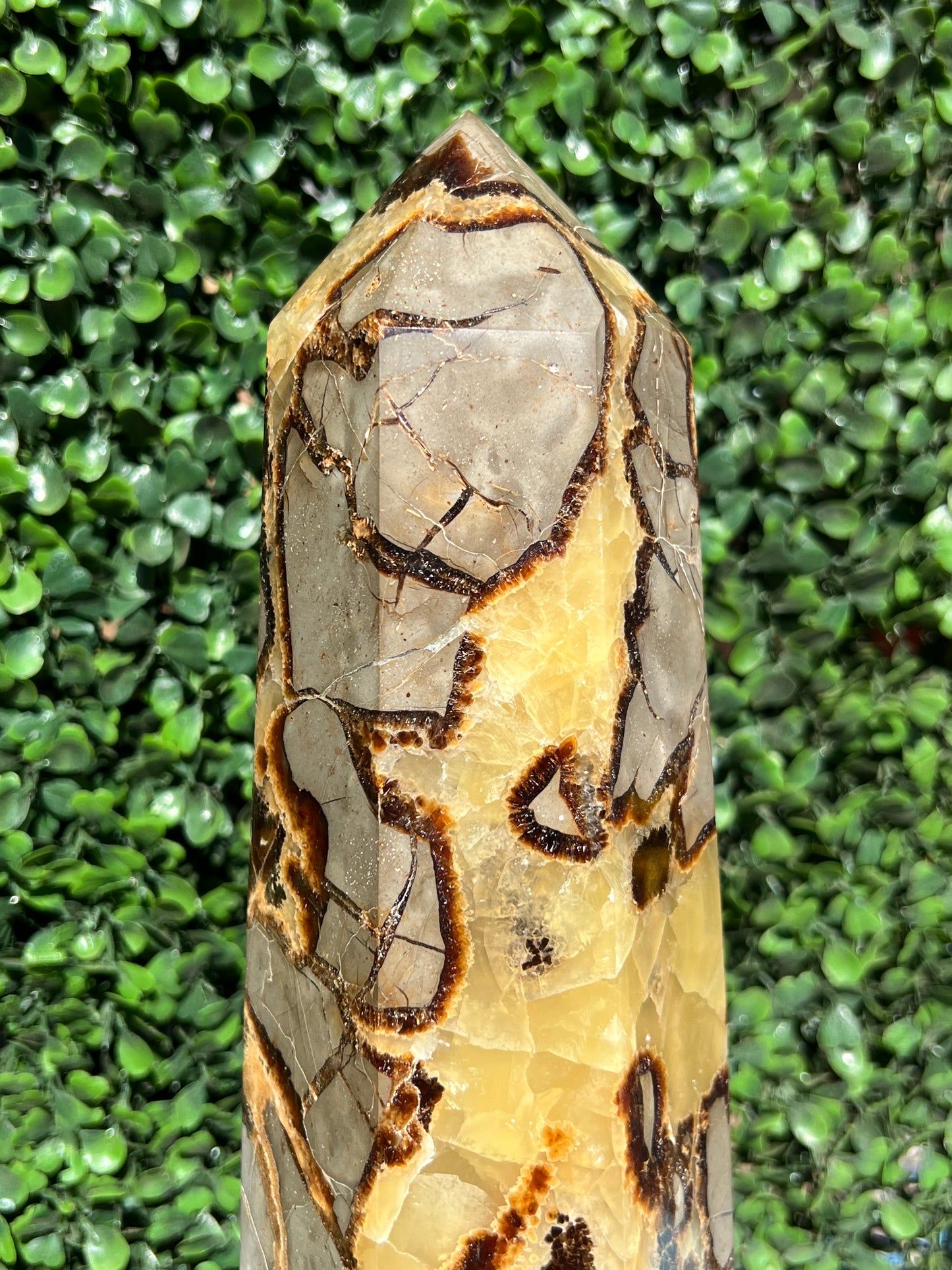 Septarian Generator XXL