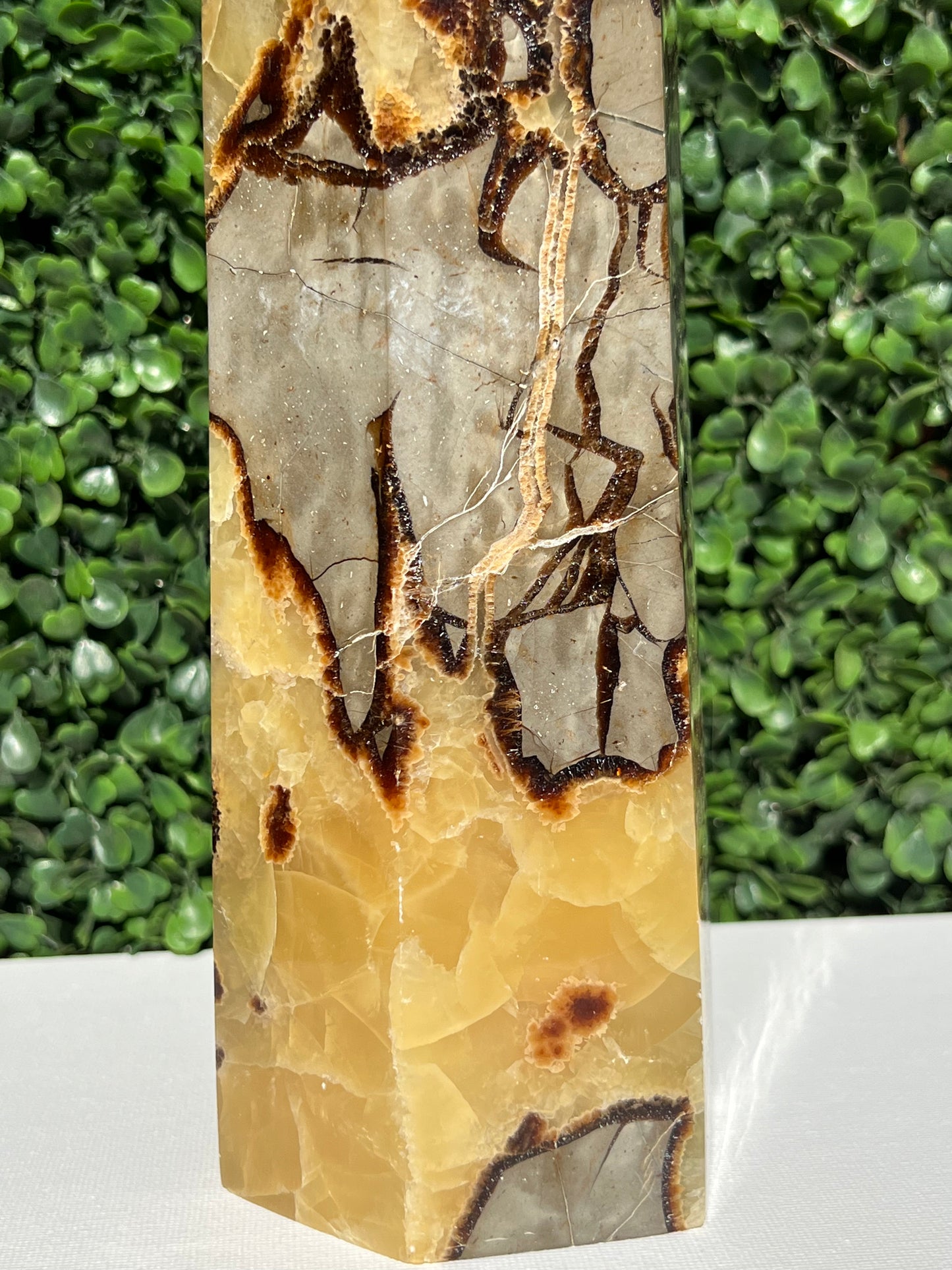 Septarian Generator XXL