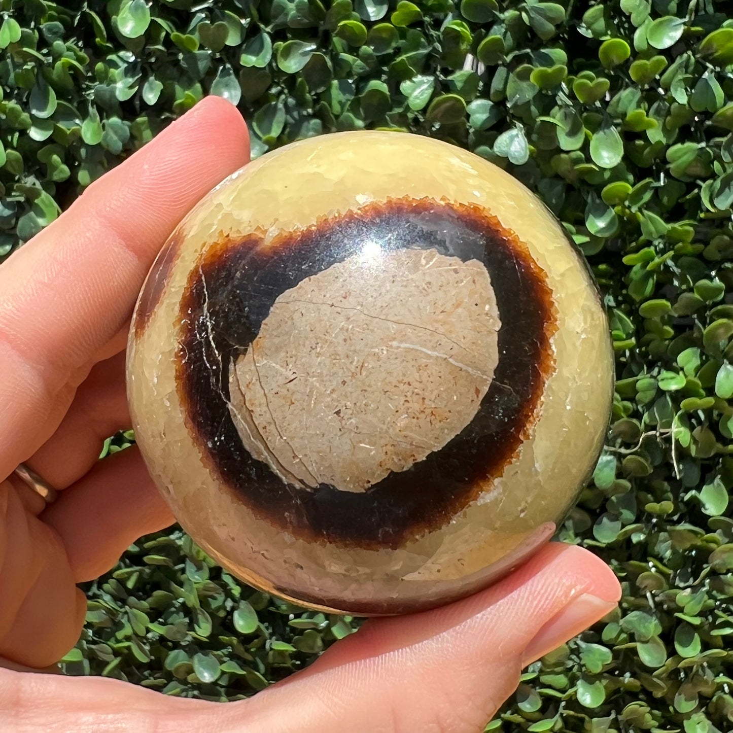 Septarian Yellow Calcite Sphere’s