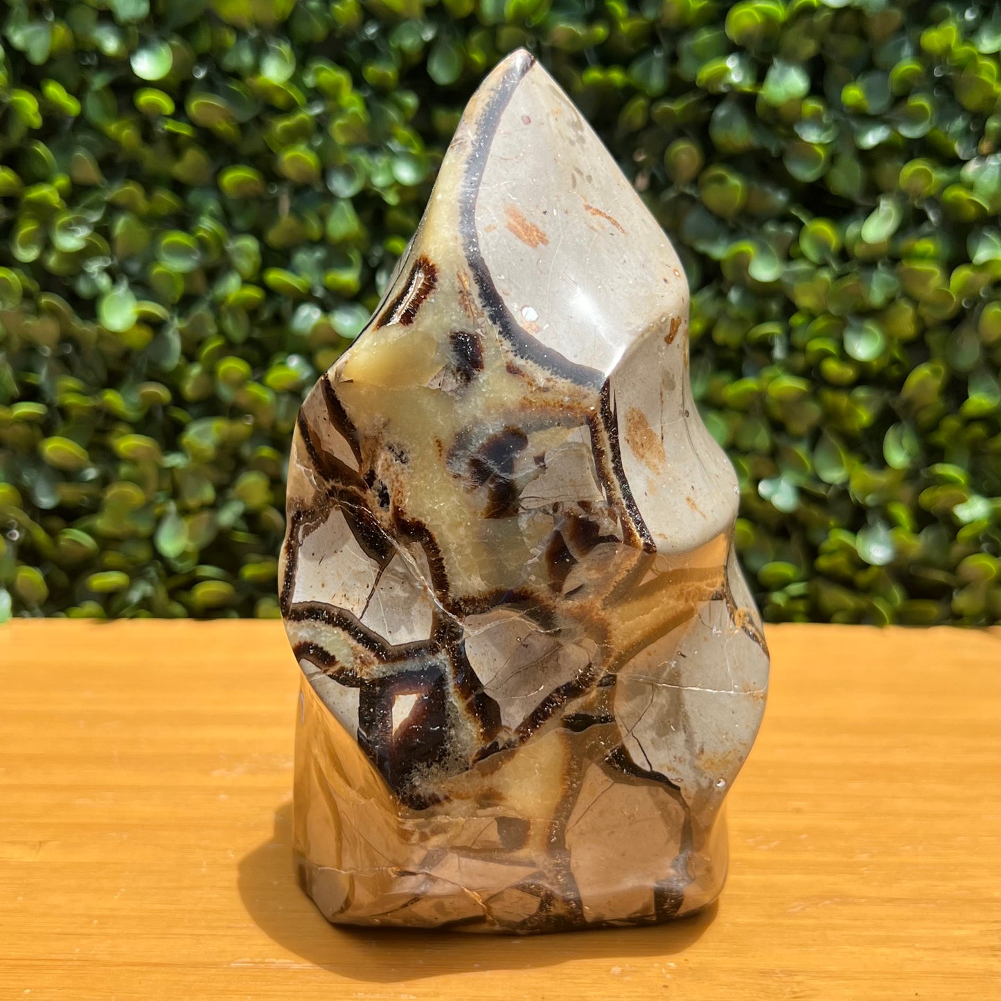 Septarian Yellow Calcite Flame