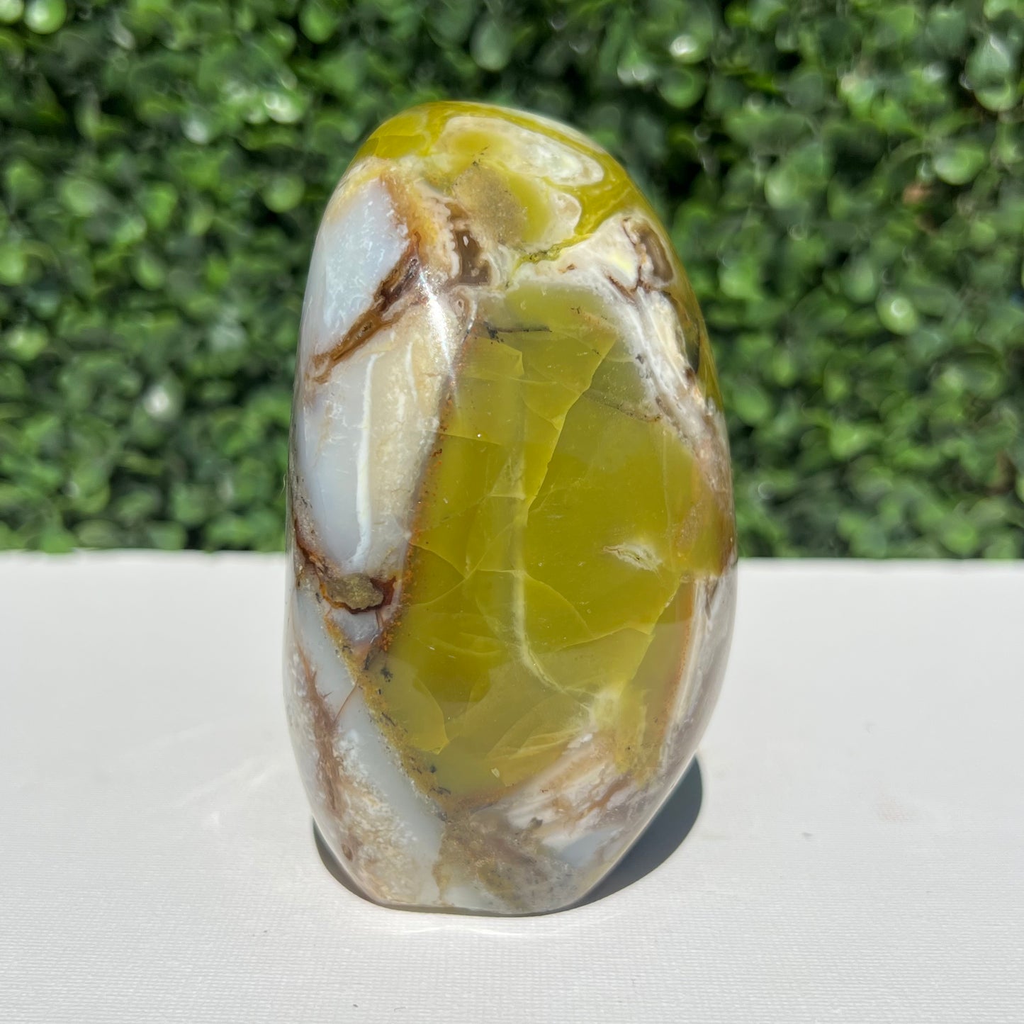 Kiwi Opal Free Form