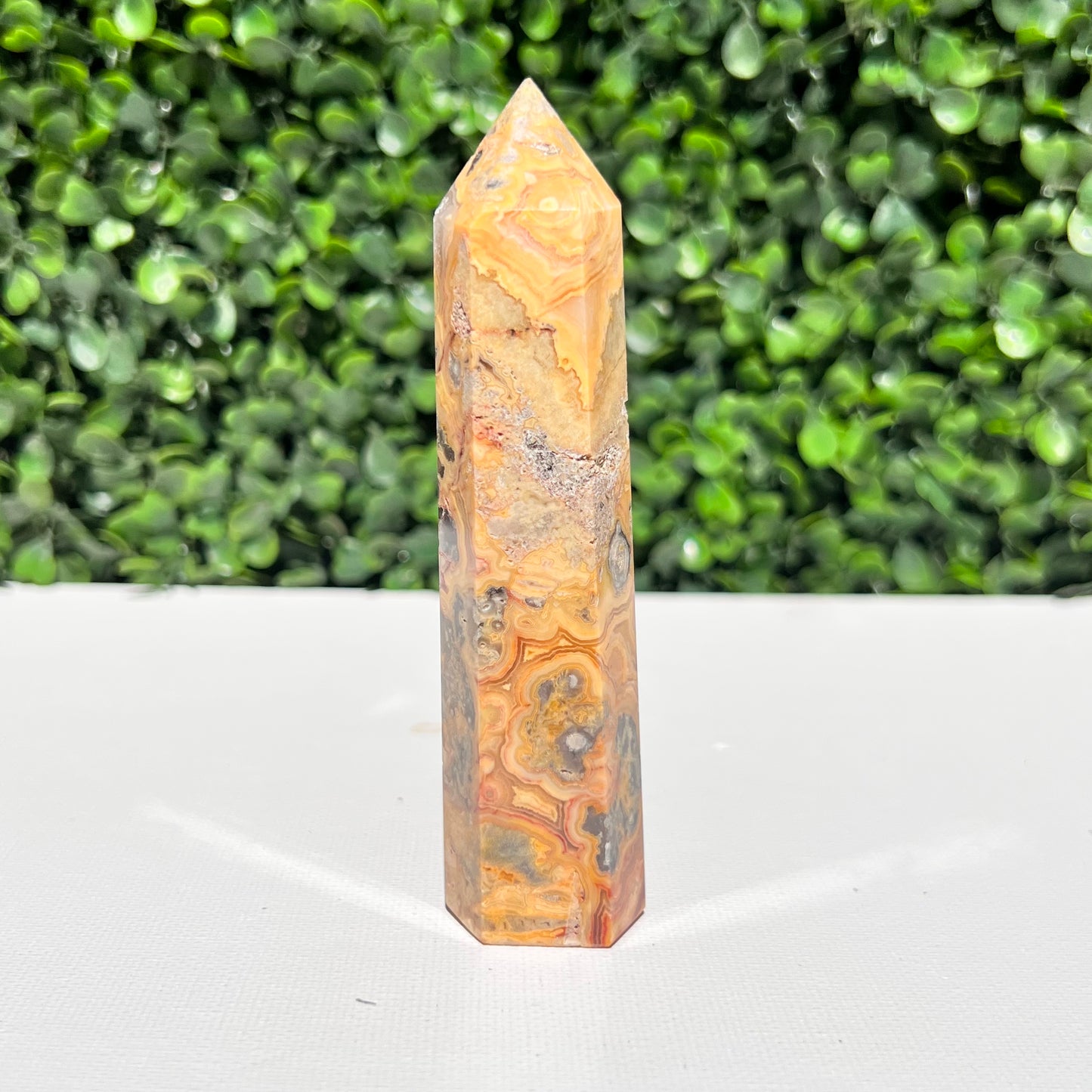 Crazy Lace Agate Point