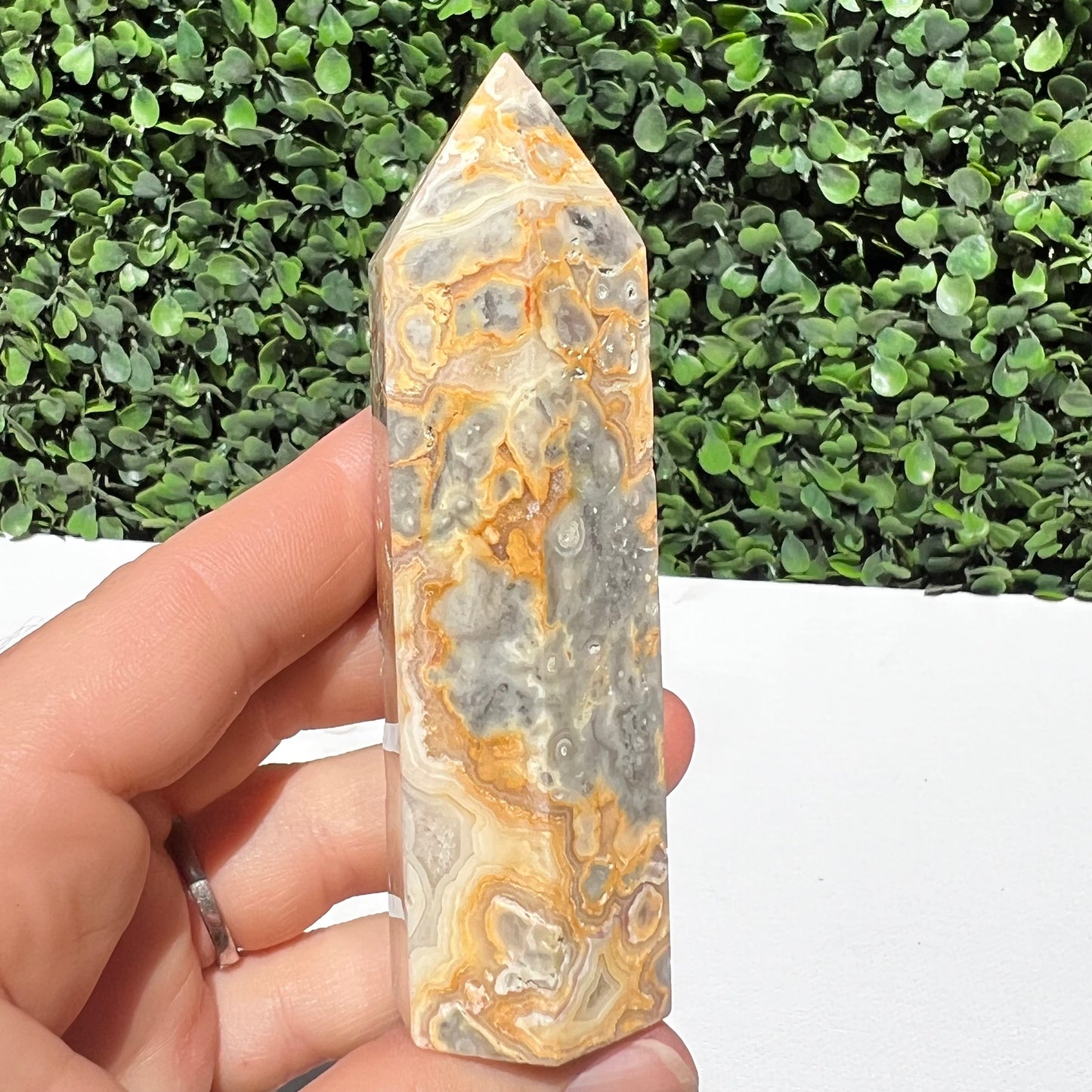 Crazy Lace Agate Point