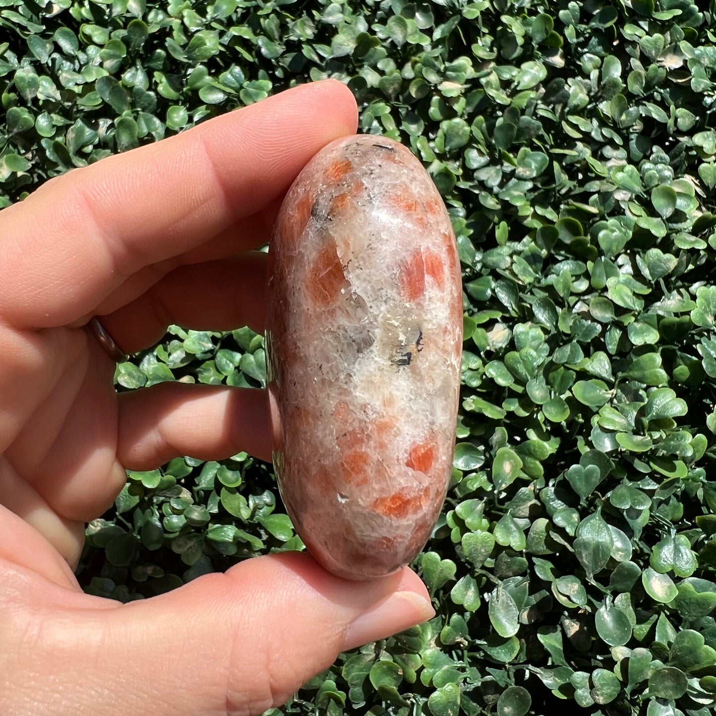 Sunstone Palm Stone