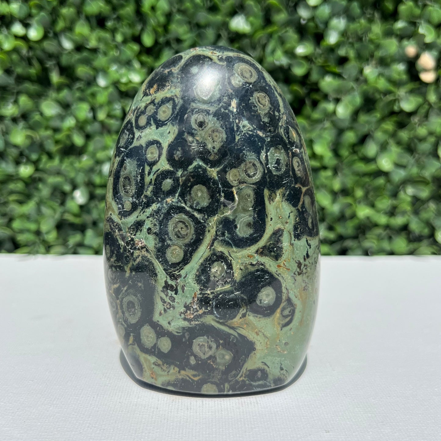 Kambaba Jasper Free Form