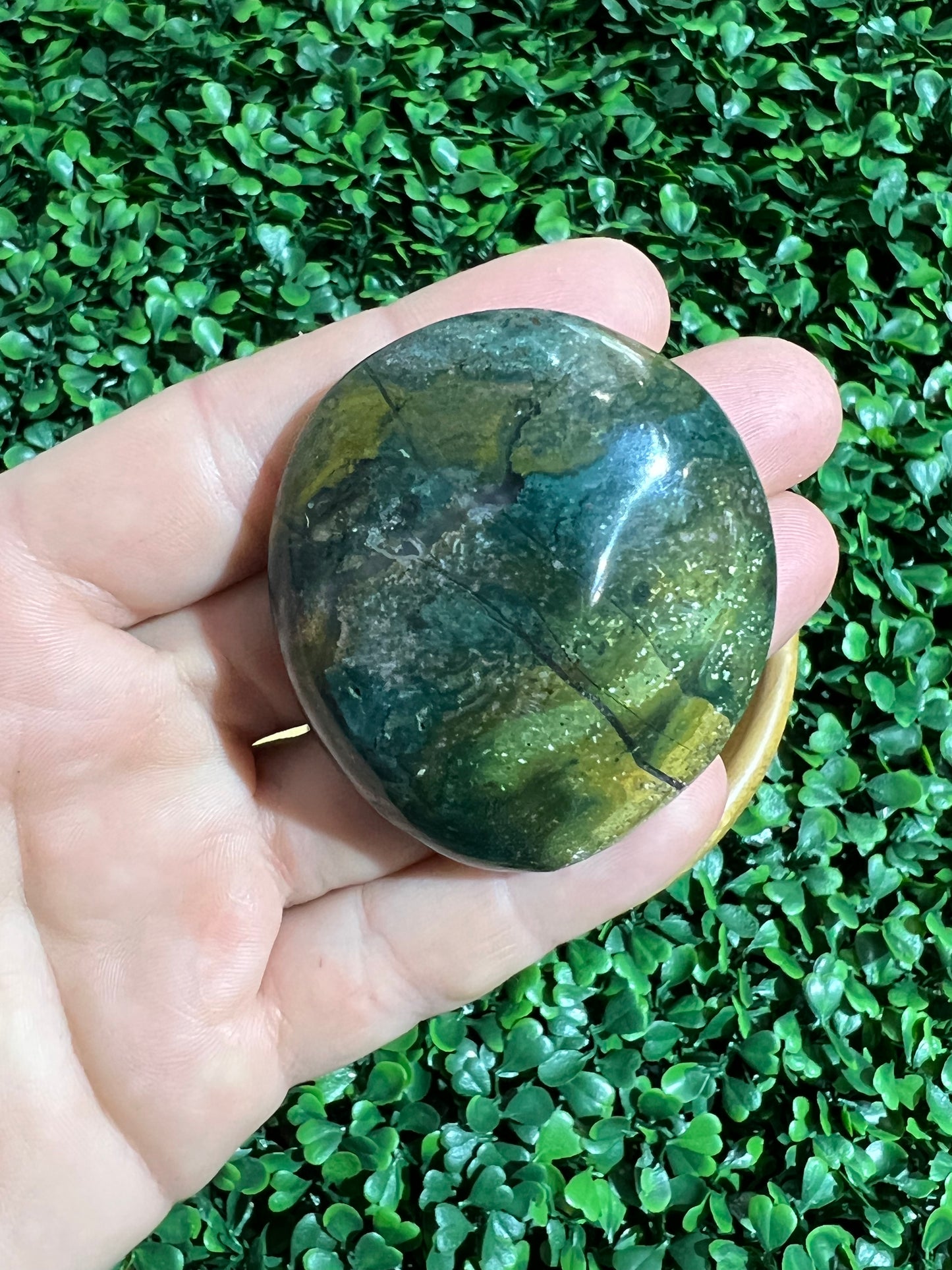Ocean Jasper Palm Stone’s