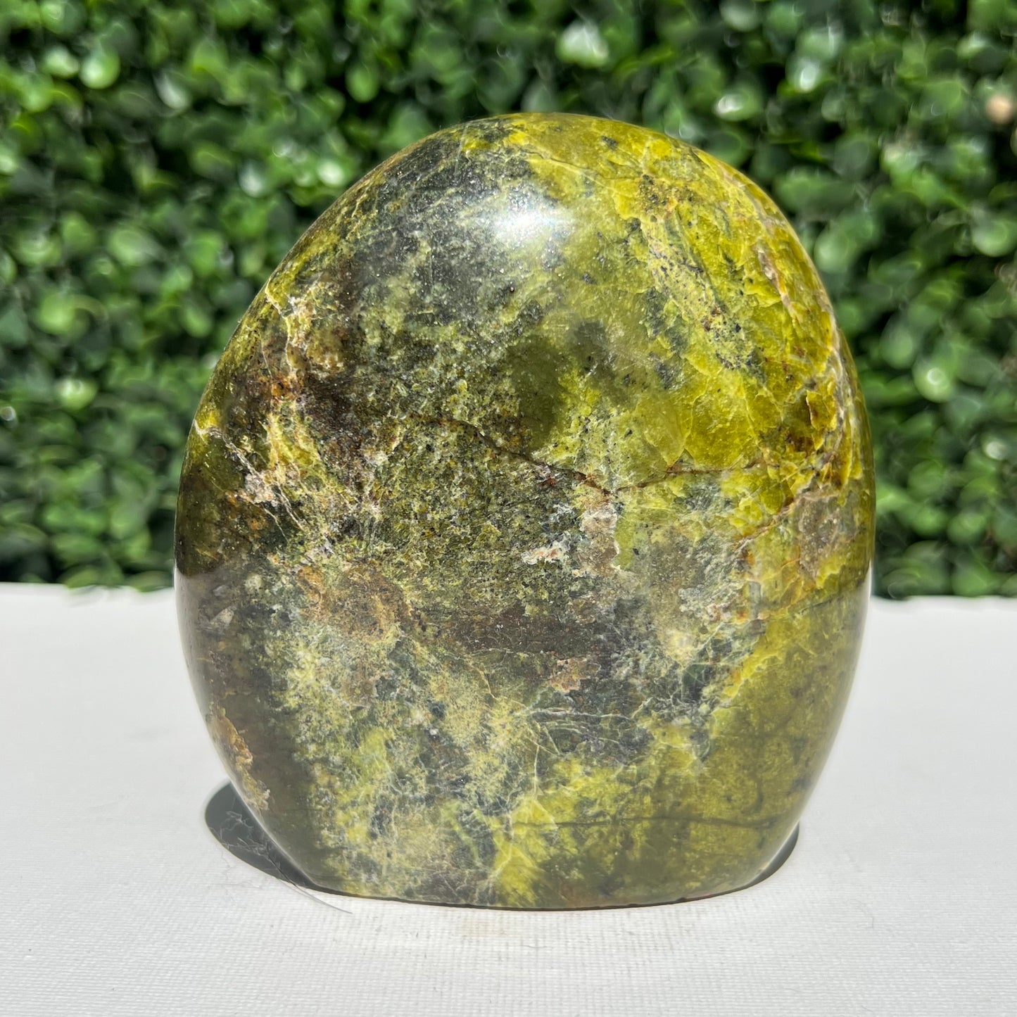 Kiwi Opal Free Form