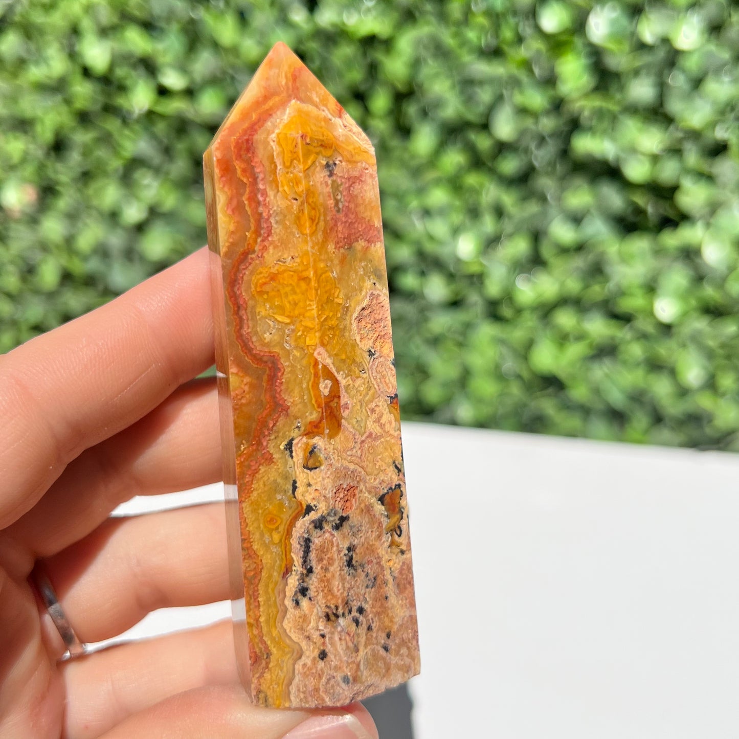 Crazy Lace Agate Point