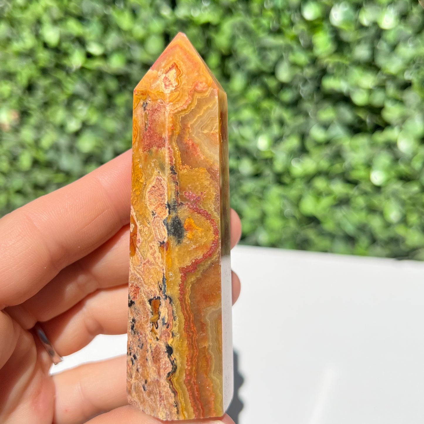 Crazy Lace Agate Point