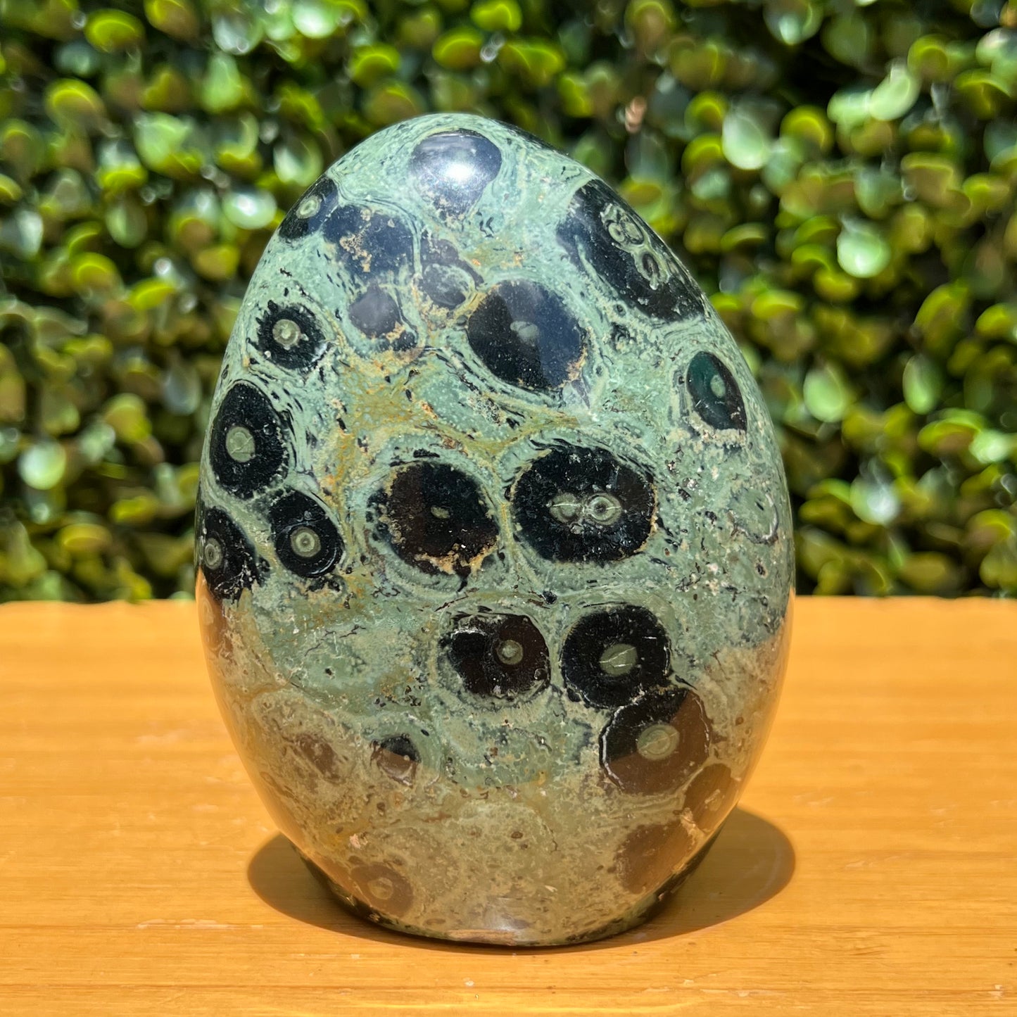 Kambaba Jasper Free Form