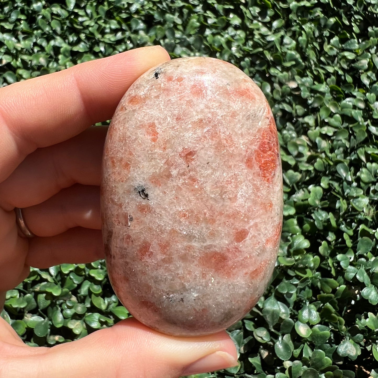 Sunstone Palm Stone
