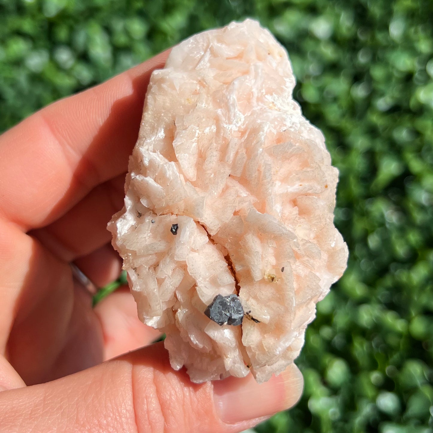 Pink Dolomite Specimen