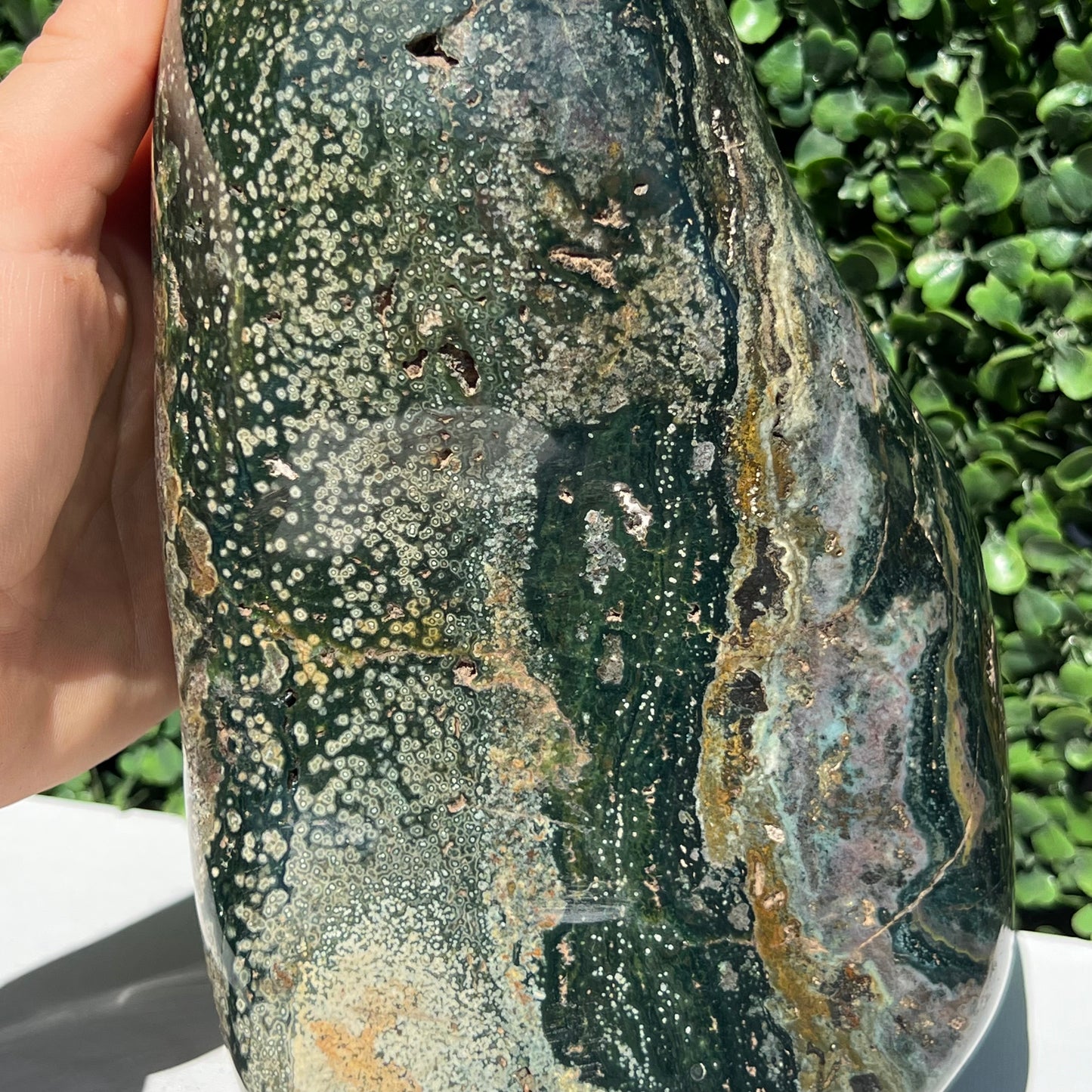 Ocean Jasper Free Form